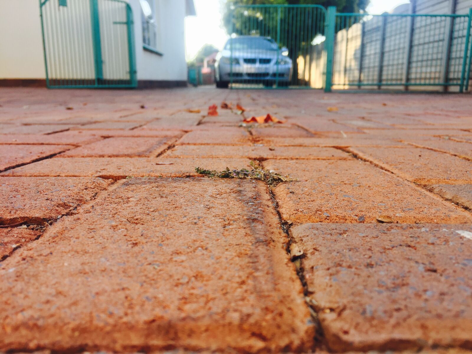 iPhone 6 back camera 4.15mm f/2.2 sample photo