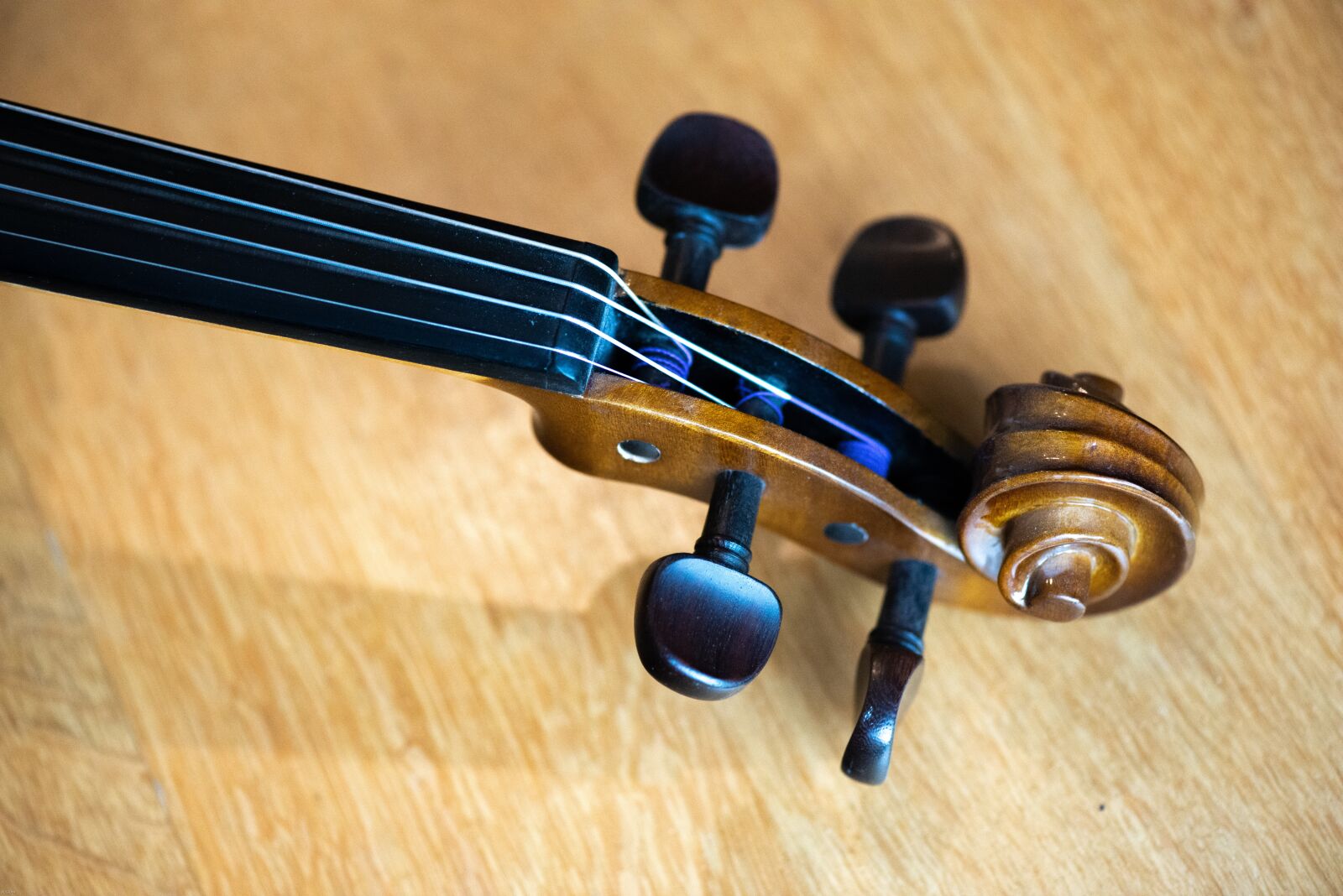 Nikon D800 sample photo. Macro, violin, scroll photography