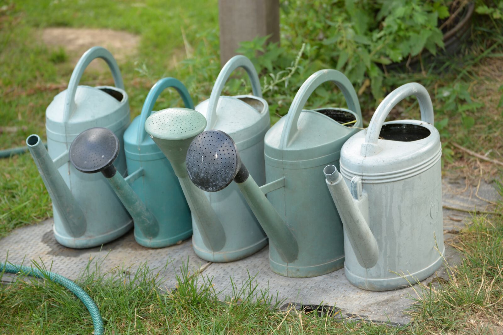 Nikon D610 sample photo. Scene, watering cans, nature photography