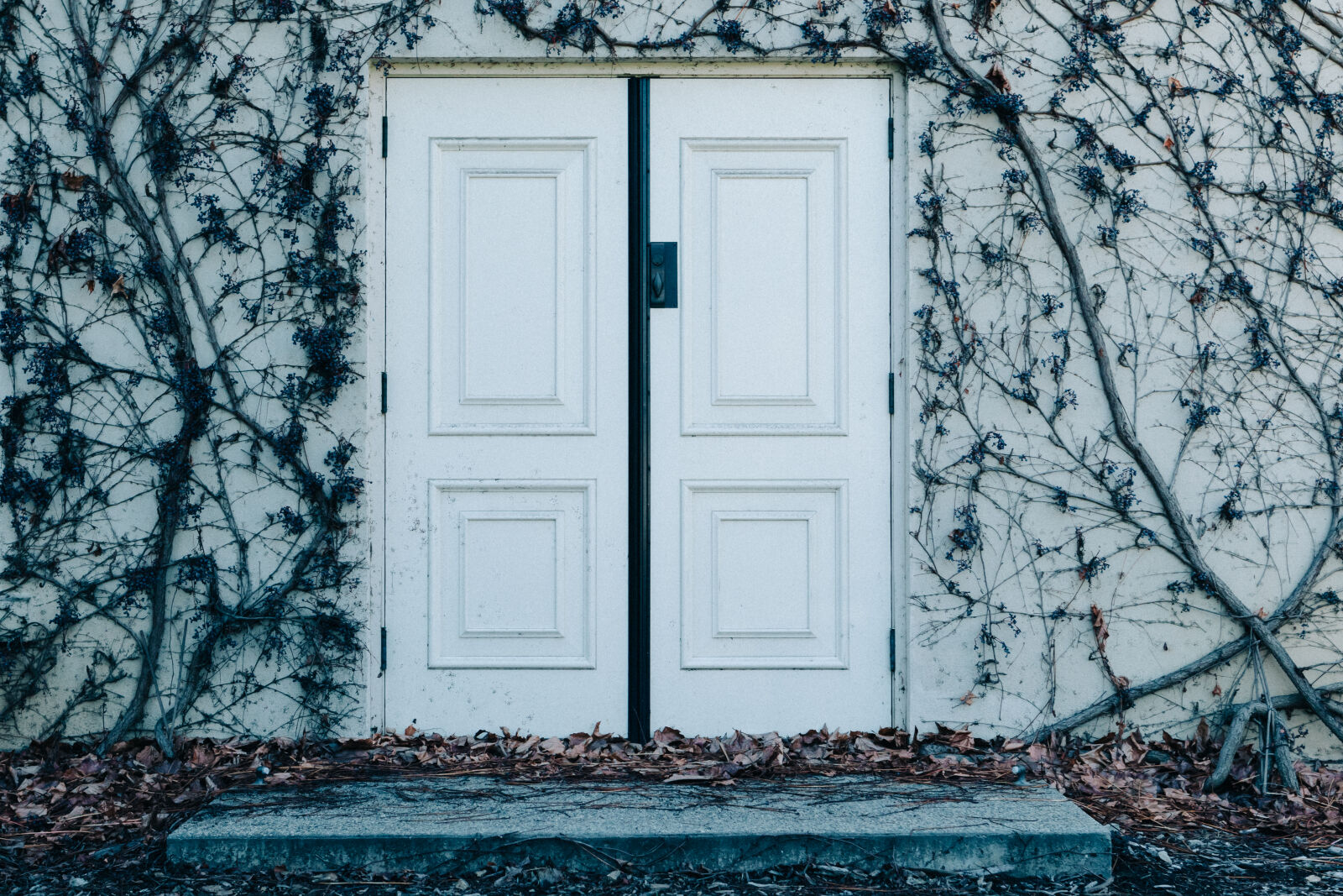 Canon EF 24-70mm F2.8L USM sample photo. Door, dry, leaves, entrance photography