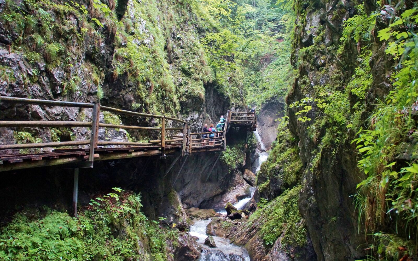 Sony SLT-A58 sample photo. Alps, austria, defile photography