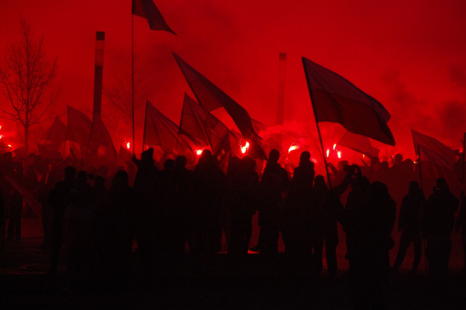Nikon D40 sample photo. Independence march, poland, warsaw photography