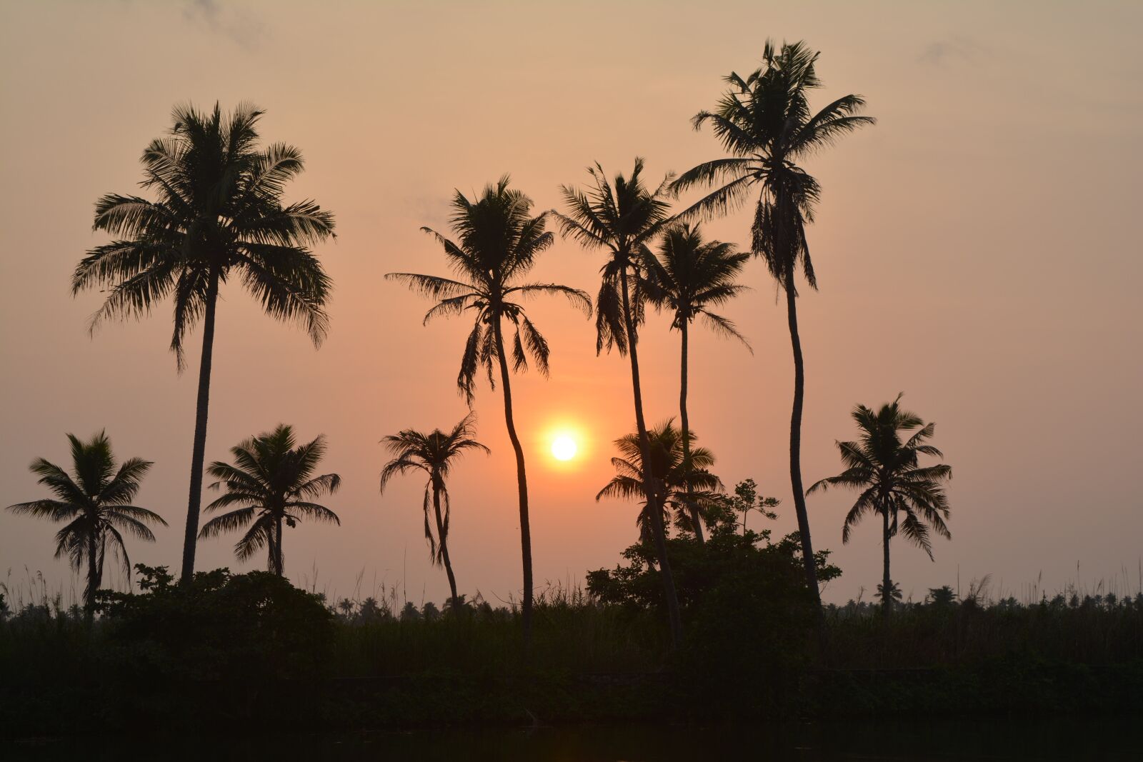 Nikon D5200 sample photo. Kerala, sun set, outdoor photography