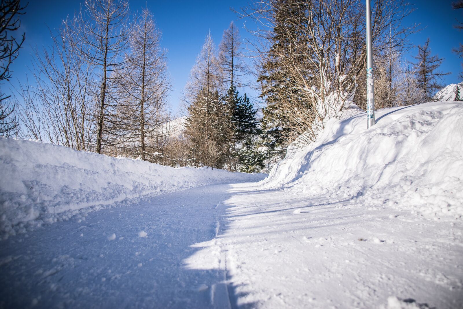 Nikon D5300 sample photo. Winter, frost, snow photography