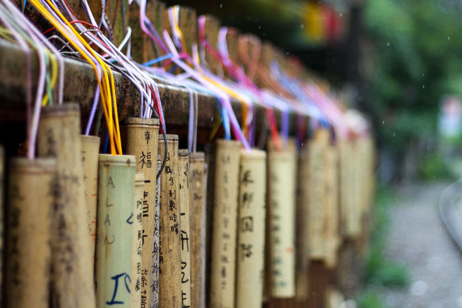 Canon EOS 7D + Canon EF 50mm F1.8 STM sample photo. Trevi cartridge, wishing, blessing photography