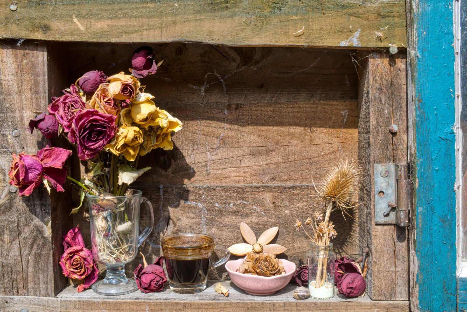Nikon D3300 sample photo. Too late, lockdown, dried photography