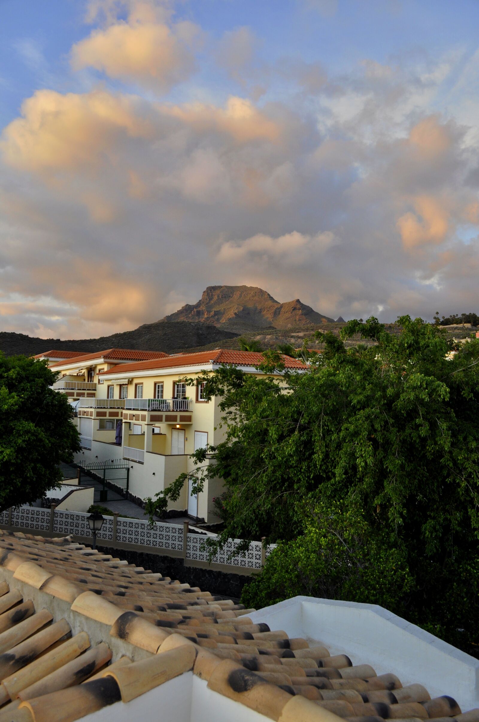 Nikon D5000 sample photo. Tenerife, mountains, tree photography