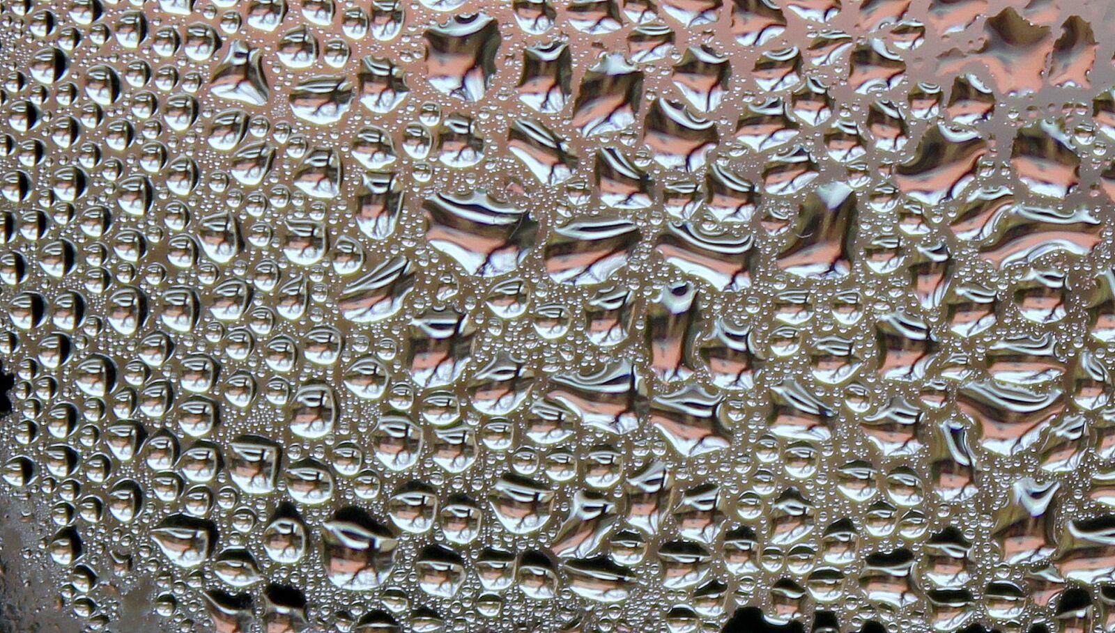 Canon EOS 1200D (EOS Rebel T5 / EOS Kiss X70 / EOS Hi) sample photo. Droplets, pane, drops of photography