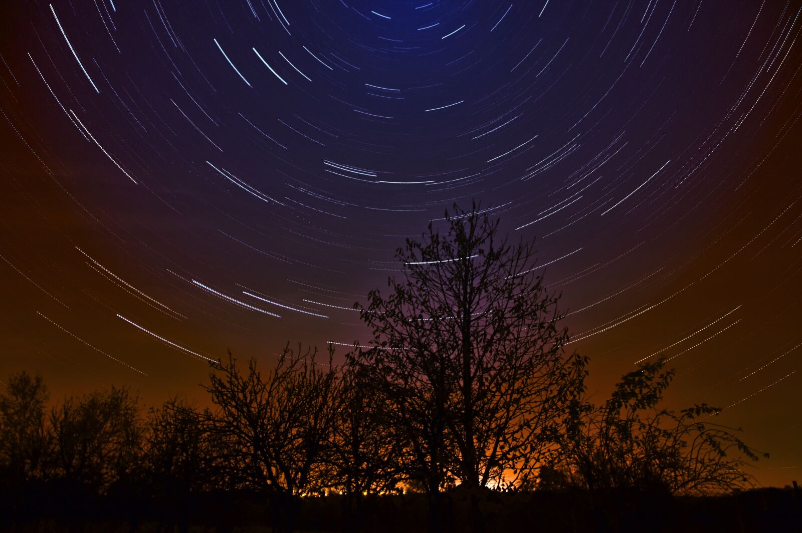 Nikon D90 sample photo. Celebrities, night, lines photography