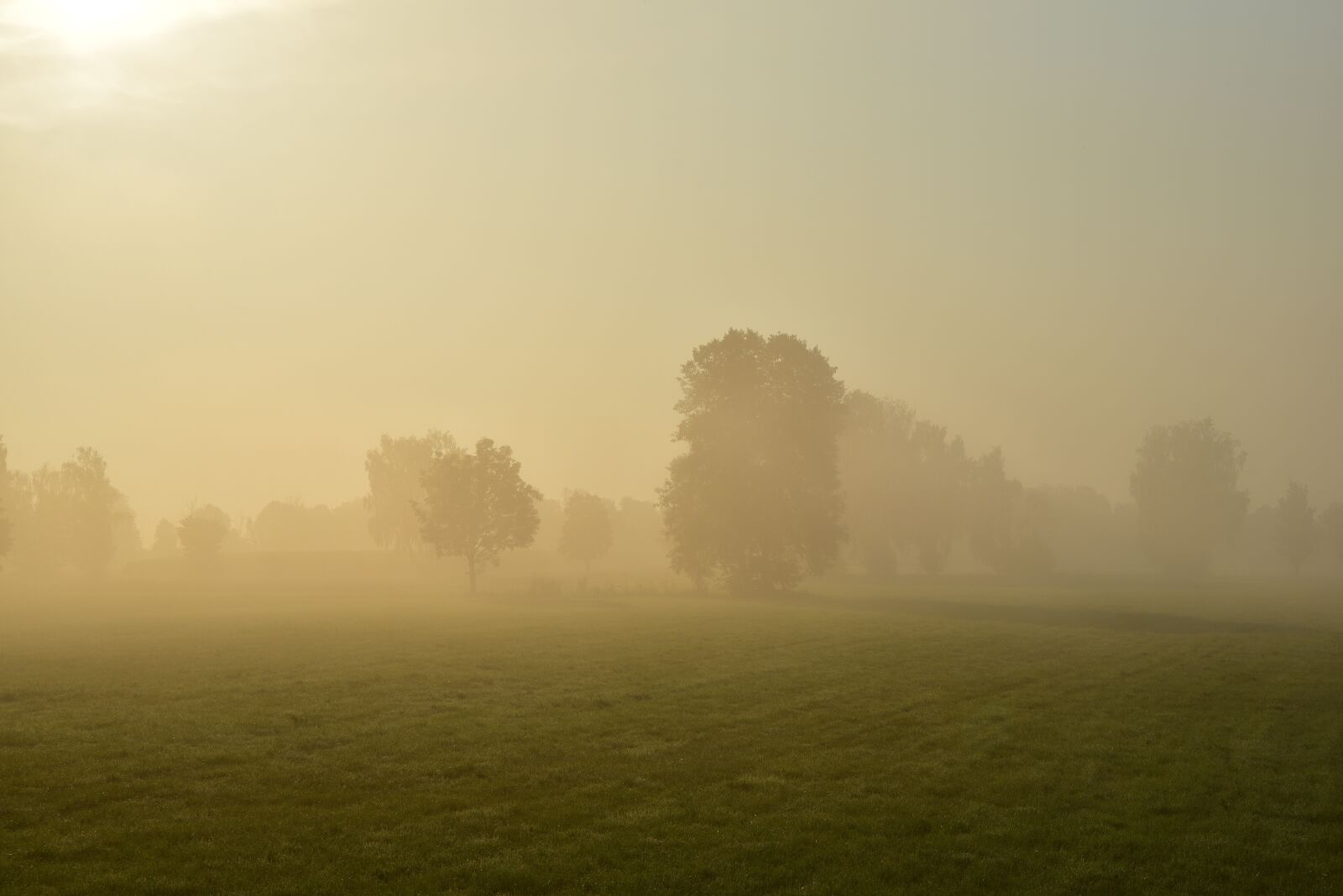 Nikon D750 sample photo. Sunrise, morning mist, nature photography