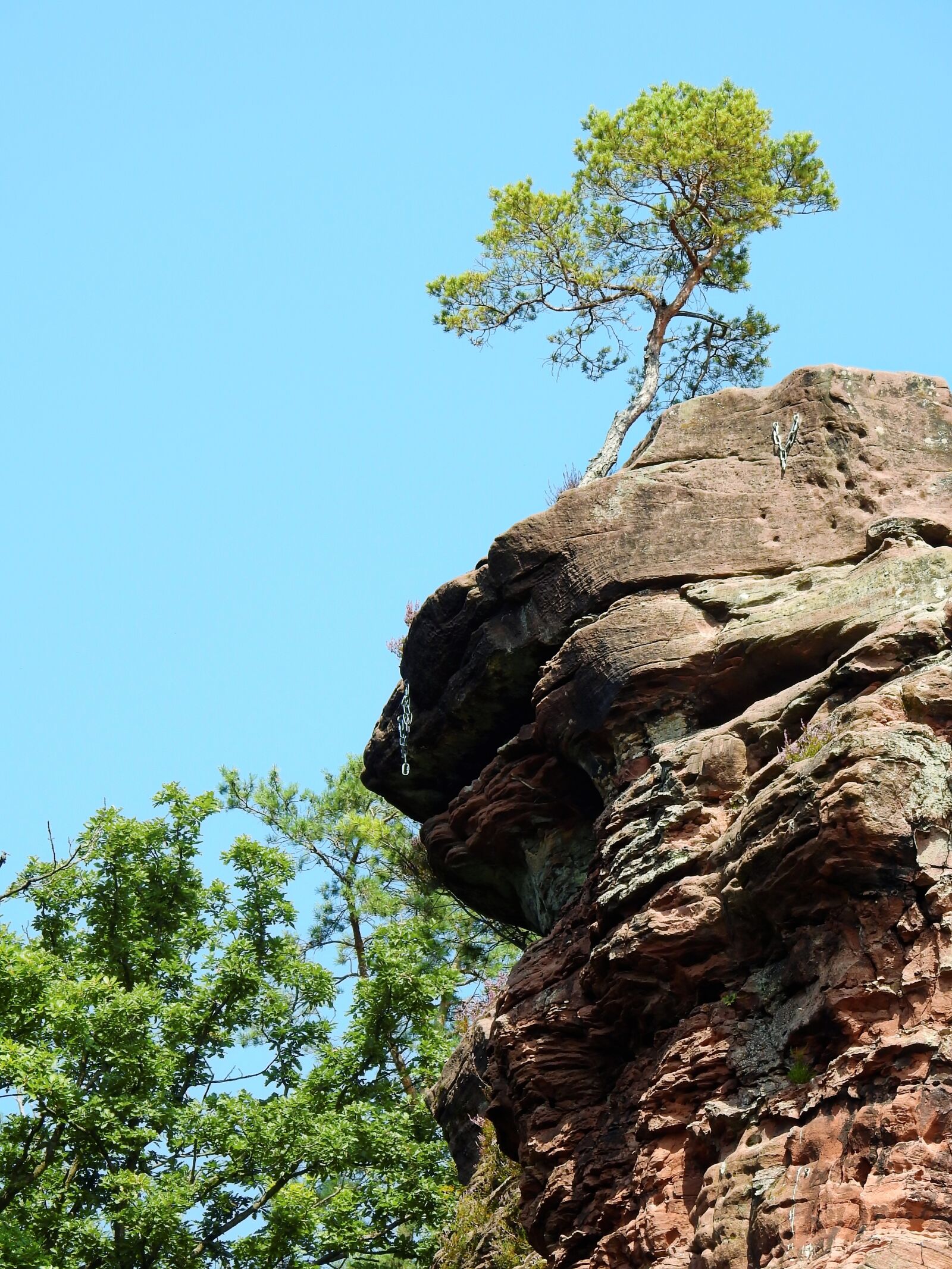 Nikon Coolpix P900 sample photo. Stone, rock, nature photography
