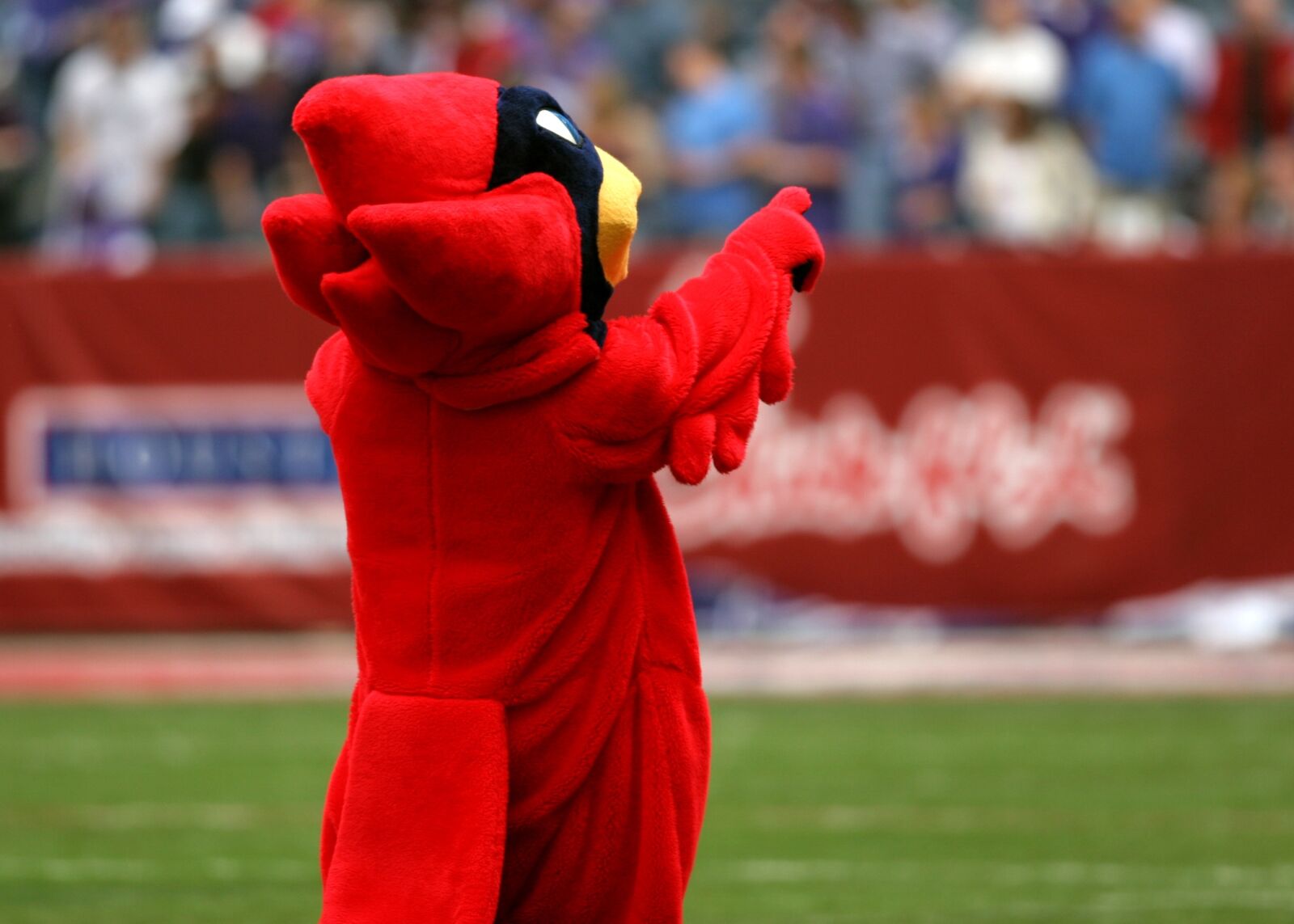 Canon EOS 20D sample photo. Mascot, team mascot, football photography
