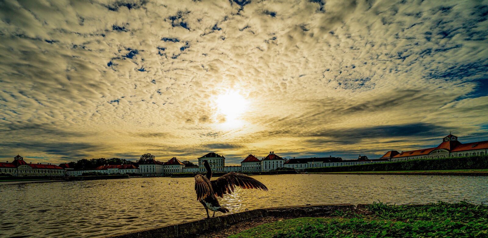 Sony a7 III + Sony FE 12-24mm F4 G sample photo. Nymphenburg, evening, duck photography