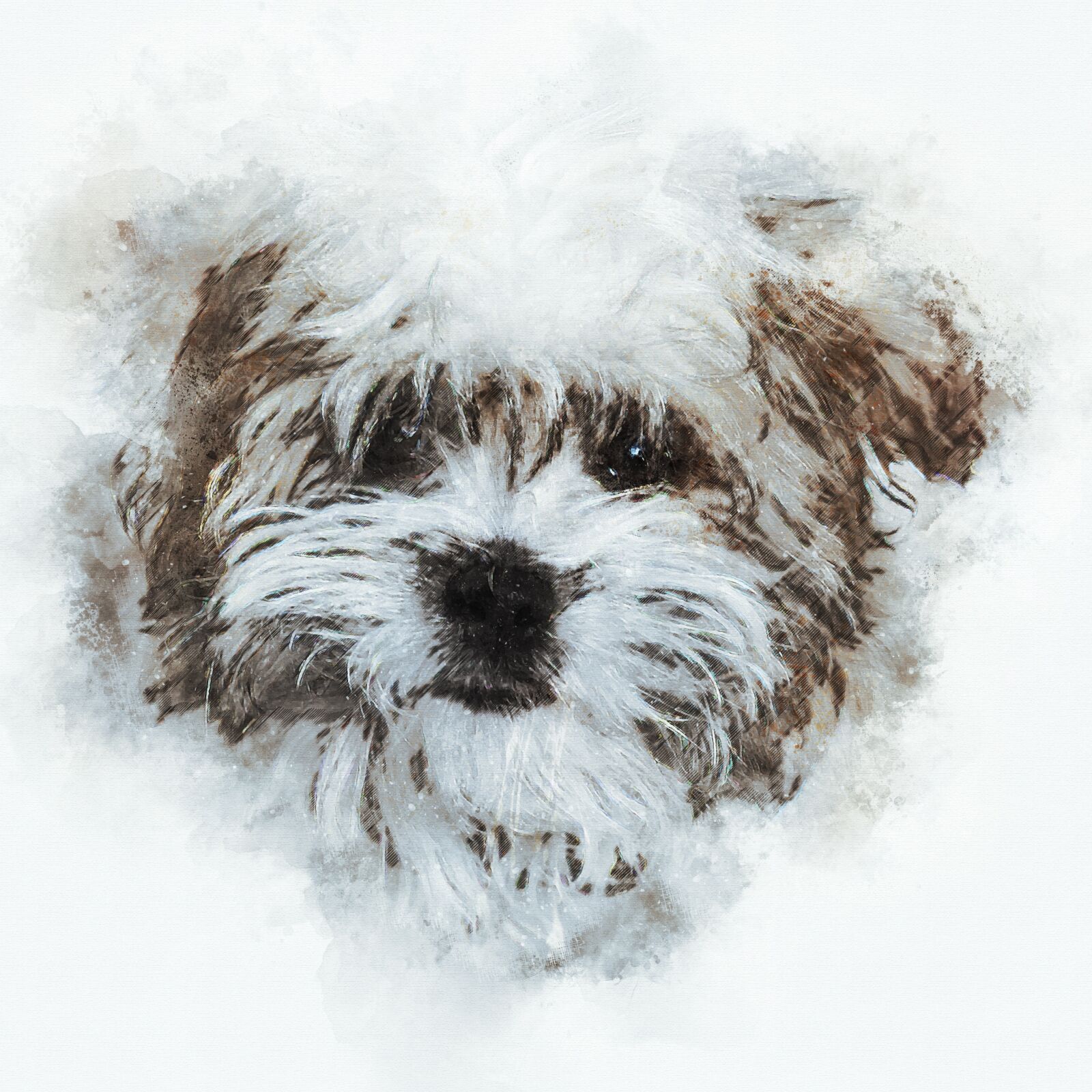 Canon EOS 1100D (EOS Rebel T3 / EOS Kiss X50) sample photo. Dog, pet, terrier photography