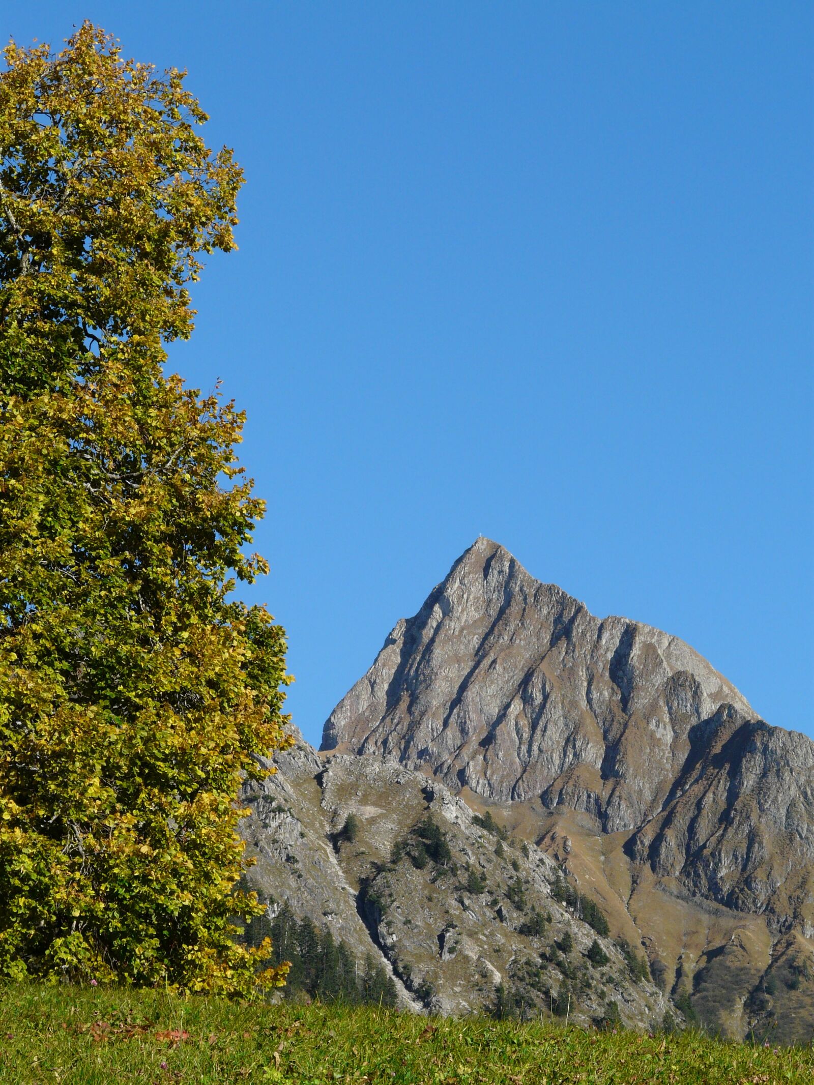 Panasonic DMC-FZ18 sample photo. Höfats, mountain, postkartenmotiv photography