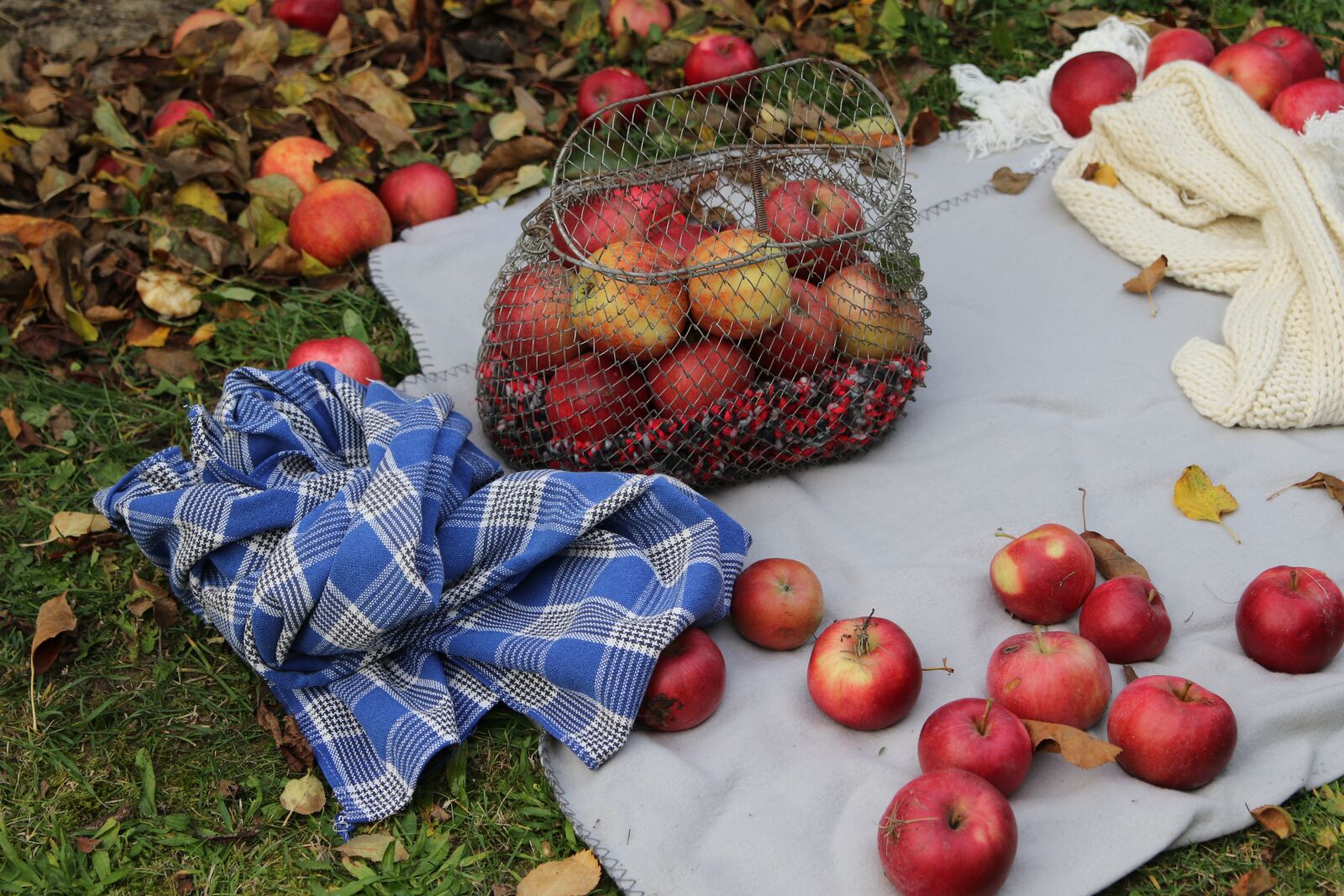 Canon EOS 7D Mark II sample photo. Sad, fruit, apple photography