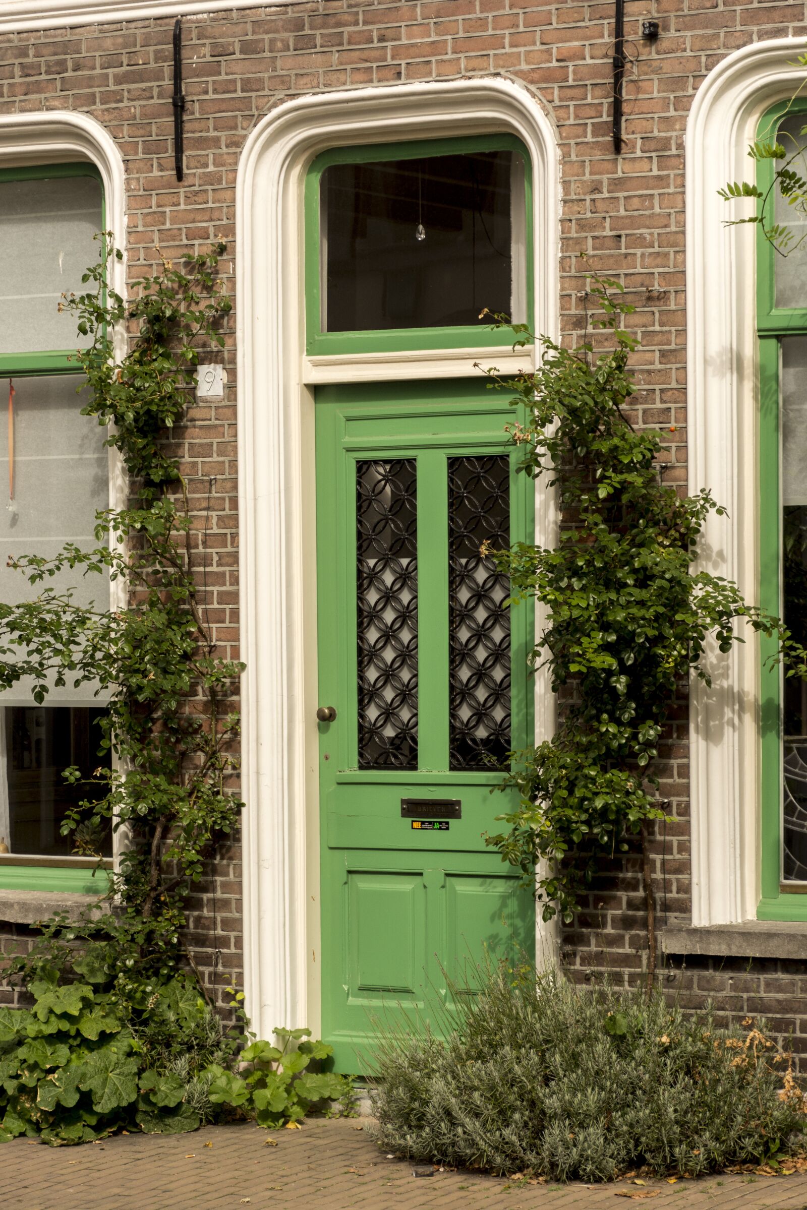 Nikon D5200 sample photo. Green, door, wood photography