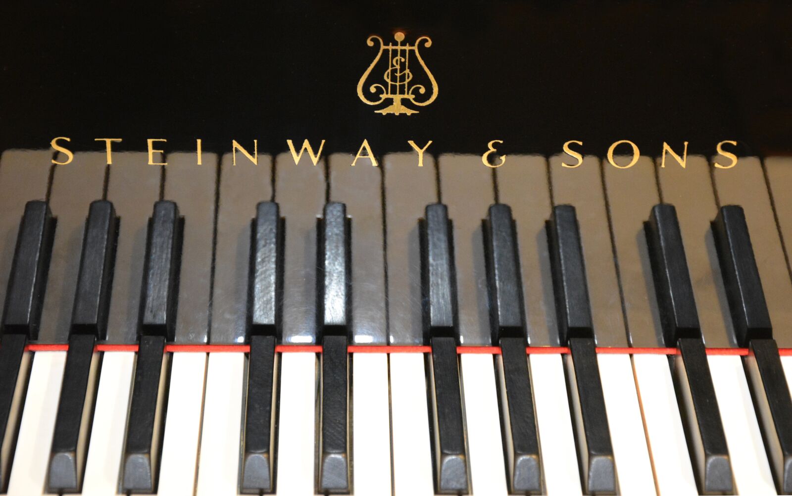 Nikon D5200 sample photo. Piano, wing, concert flights photography
