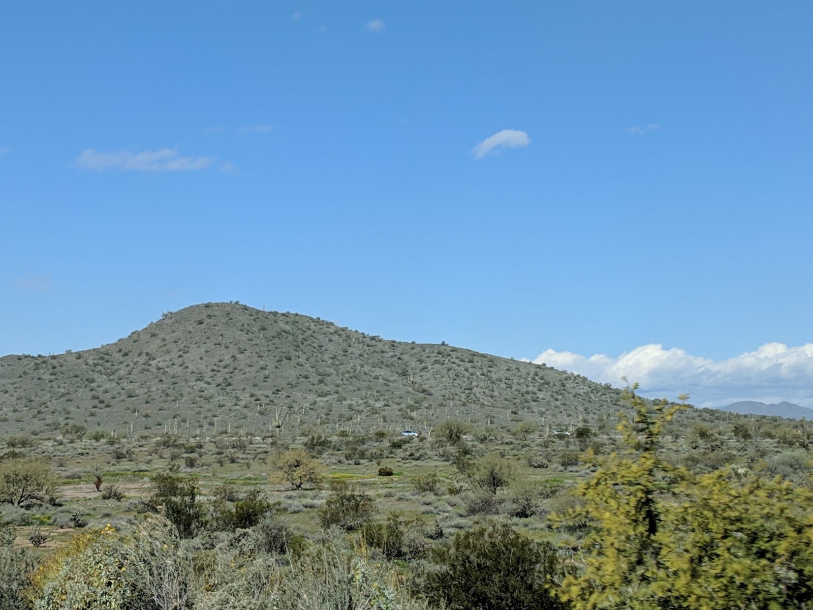 Google Pixel 2 sample photo. Arizona, desert, phoenix photography