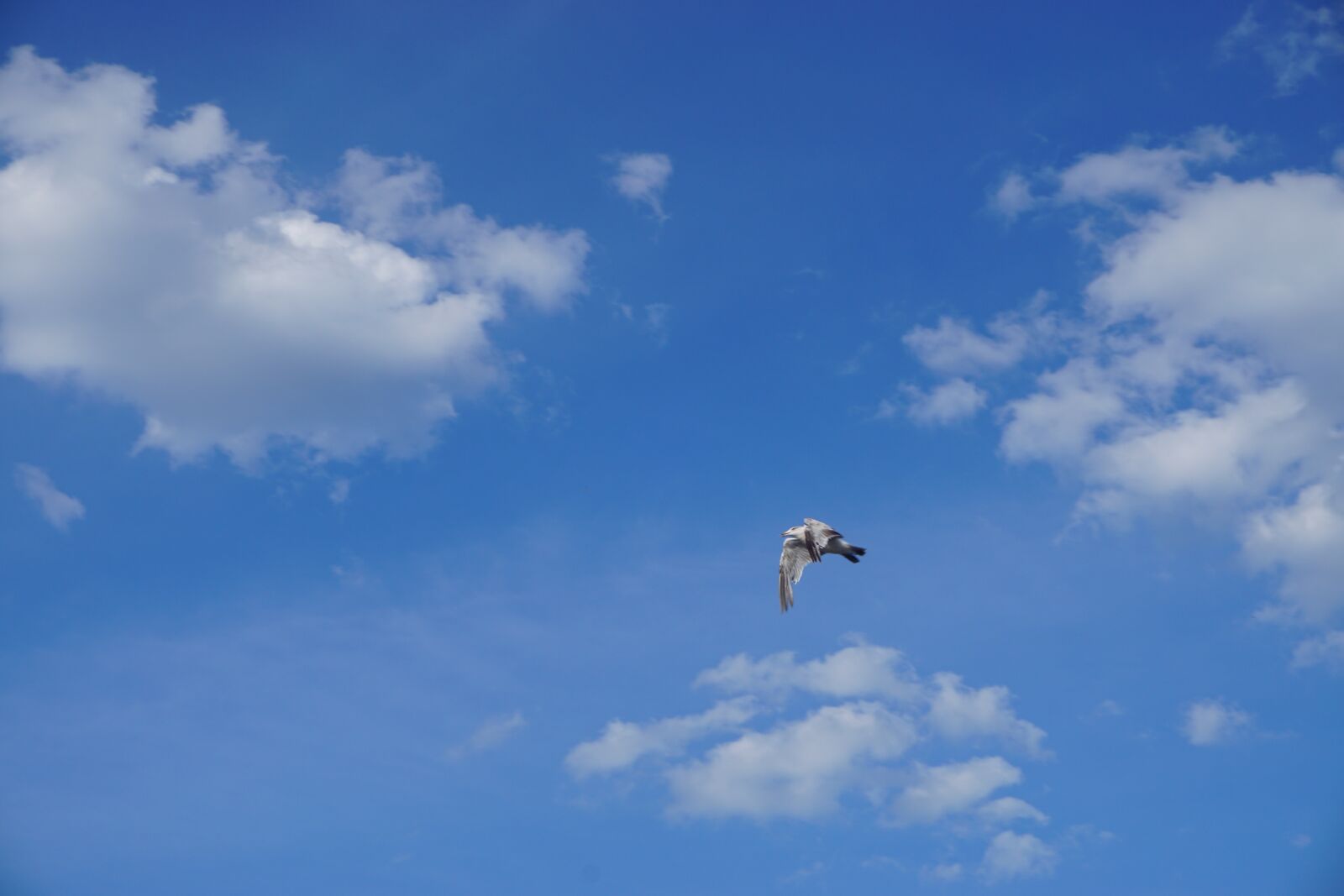 Sony E 16-50mm F3.5-5.6 PZ OSS sample photo. Blue sky, sky, clouds photography