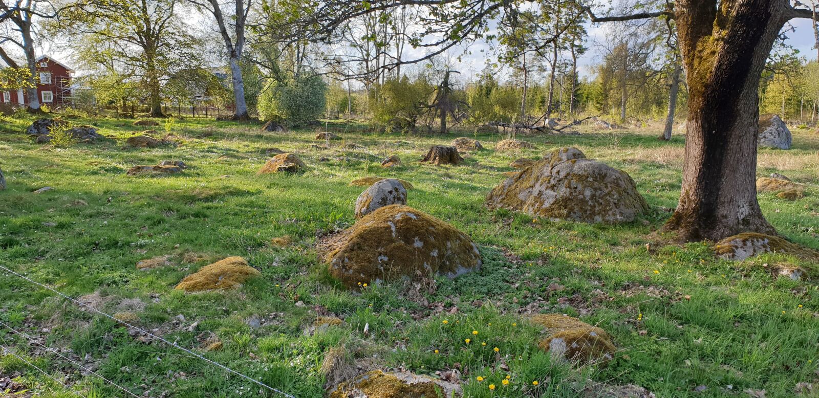 Samsung Galaxy S9 sample photo. Stones, moss, go photography