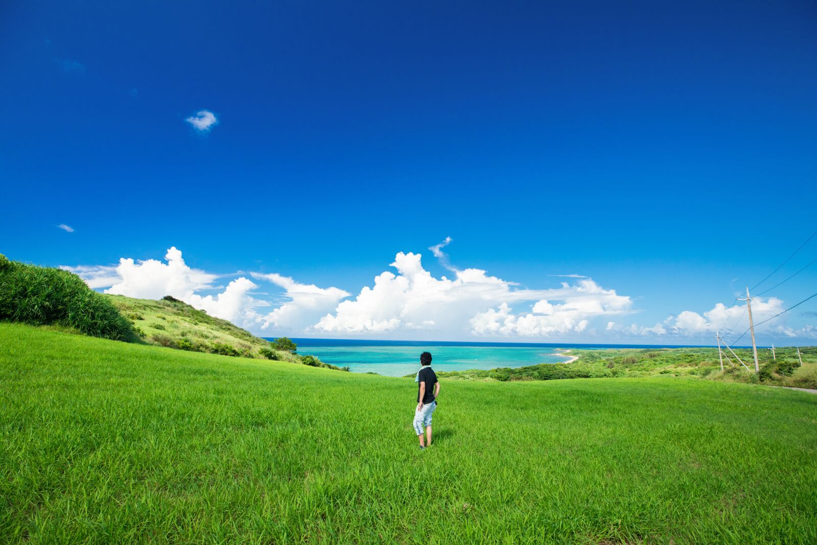 Canon EOS 5D Mark IV sample photo. Summer, summer vacation, sky photography