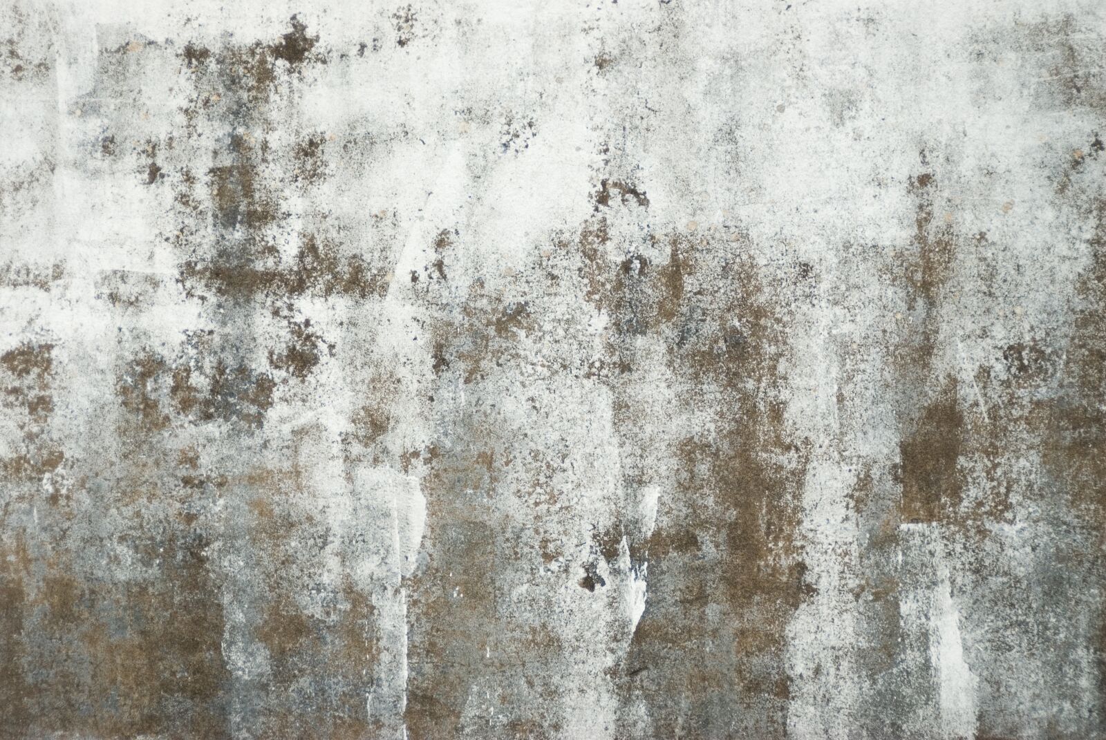 Nikon D200 sample photo. Walls, old walls, textures photography