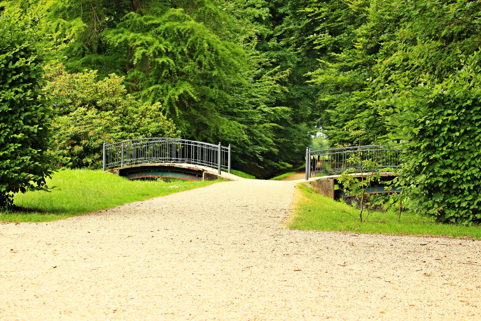 Canon EOS 100D (EOS Rebel SL1 / EOS Kiss X7) sample photo. Bridge, park, ludwigslust-parchim photography