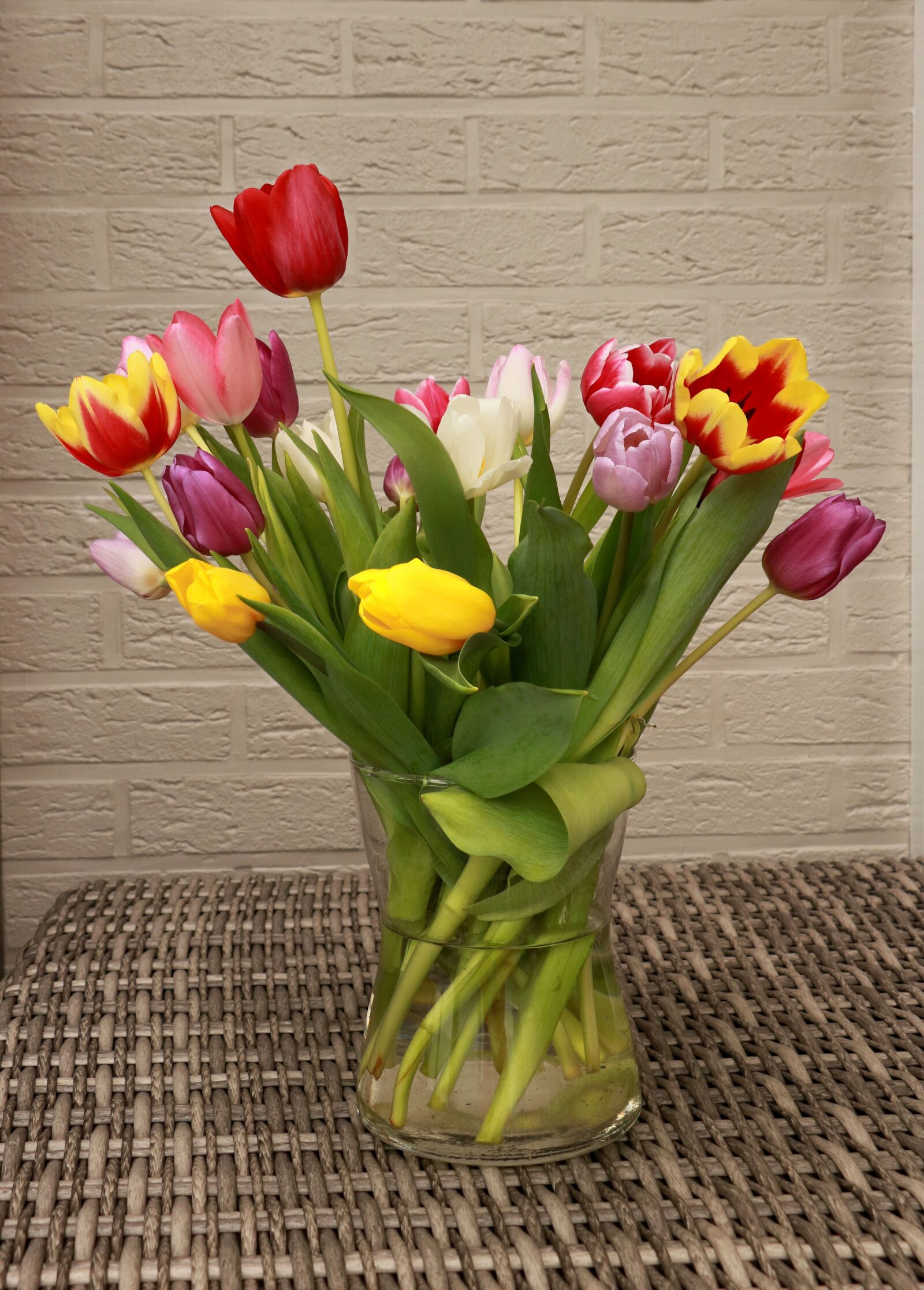 Canon EOS 750D (EOS Rebel T6i / EOS Kiss X8i) sample photo. Tulip, tulips, flowers photography