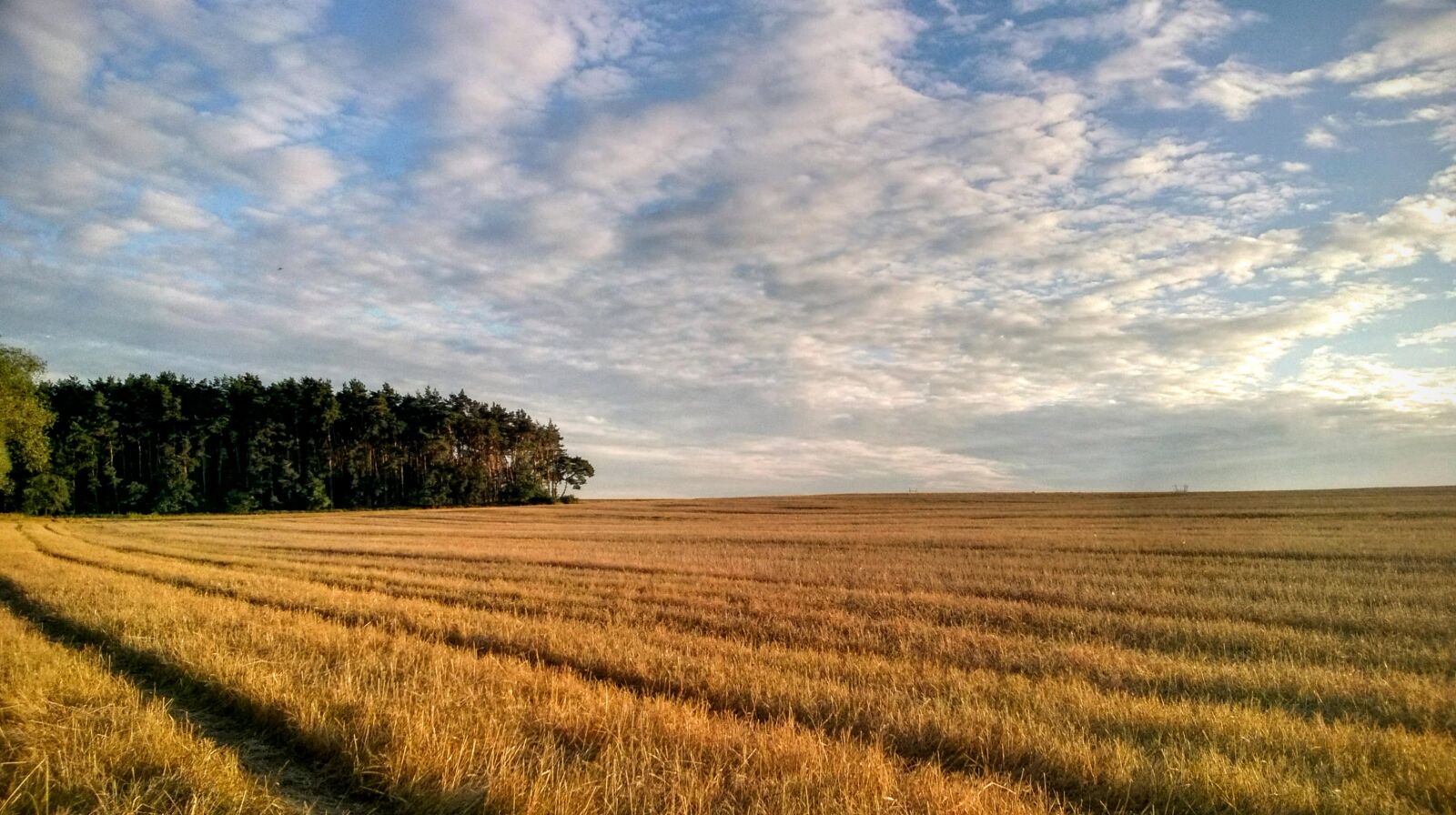 Nokia Lumia 735 sample photo. Agriculture, cereal, clouds, countryside photography