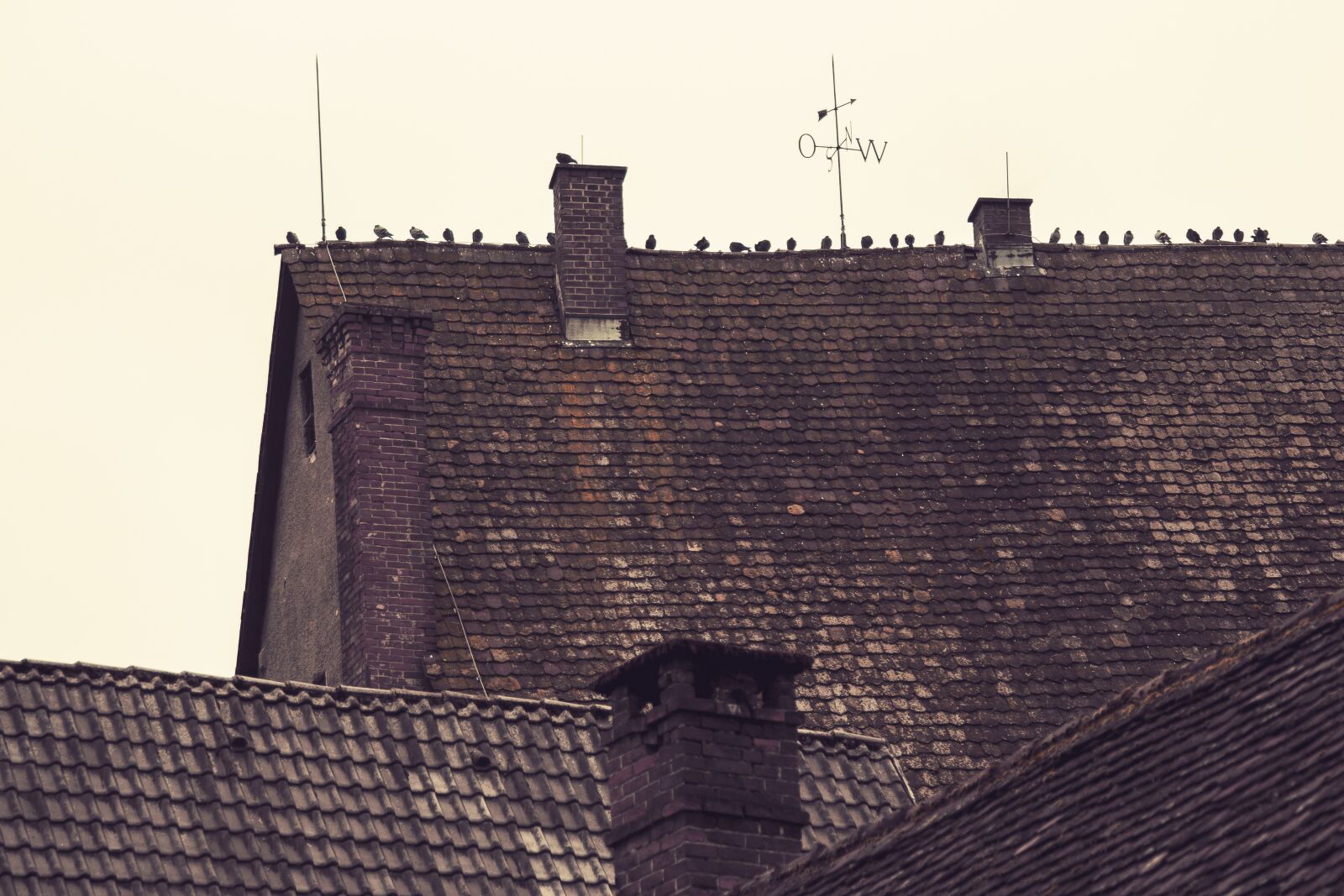 Canon EOS 650D (EOS Rebel T4i / EOS Kiss X6i) sample photo. Roof, birds, roofs photography