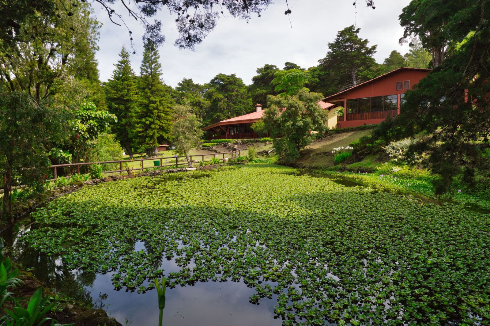 Nikon D3200 sample photo. Costa rica, pond, peace photography