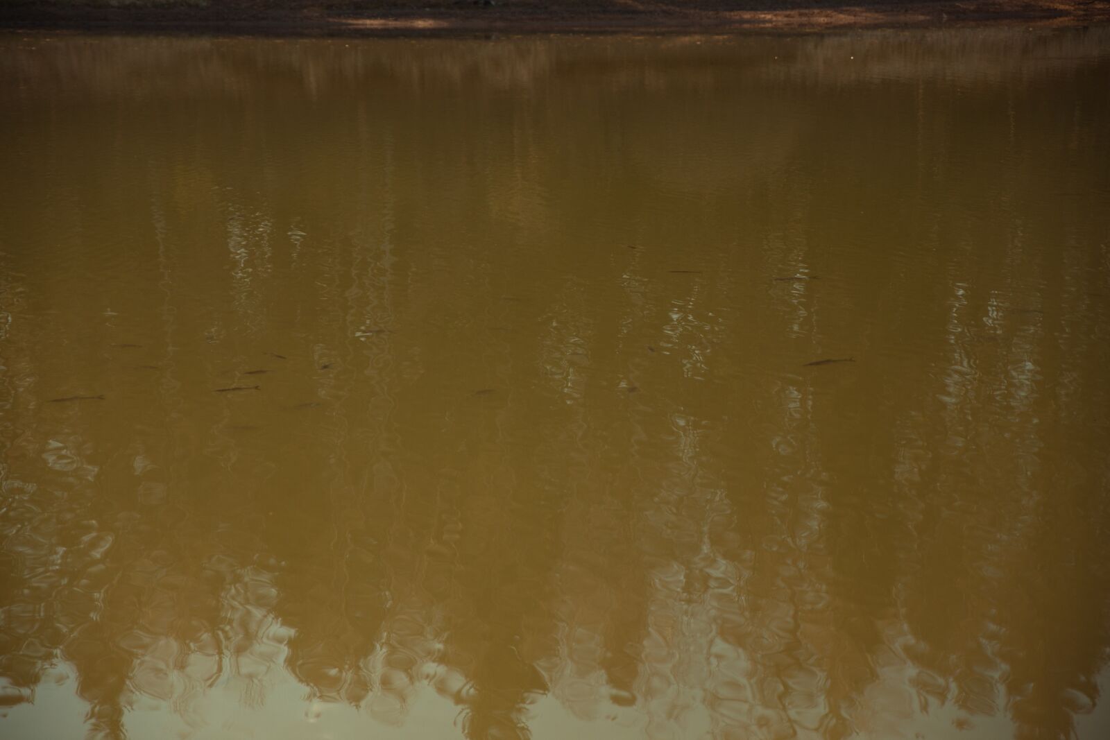 Canon EOS 6D sample photo. River, dam, water tank photography