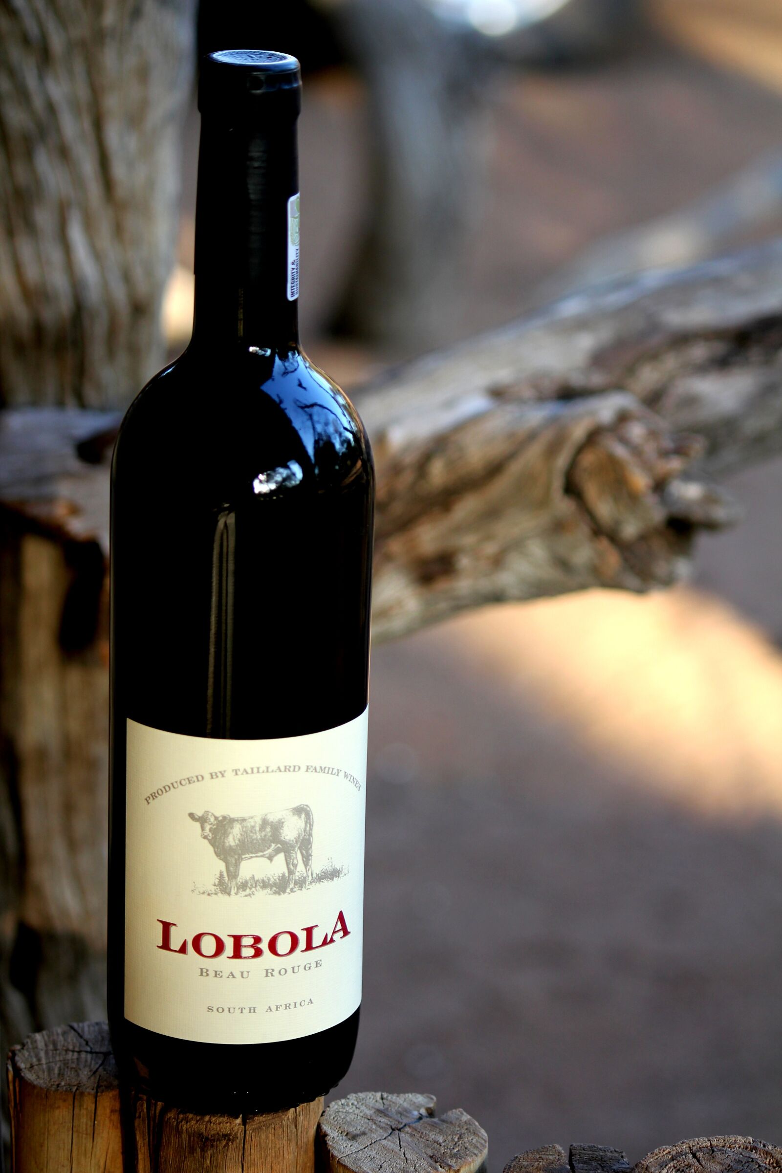Canon EOS 550D (EOS Rebel T2i / EOS Kiss X4) sample photo. Wine, drink, bottle photography