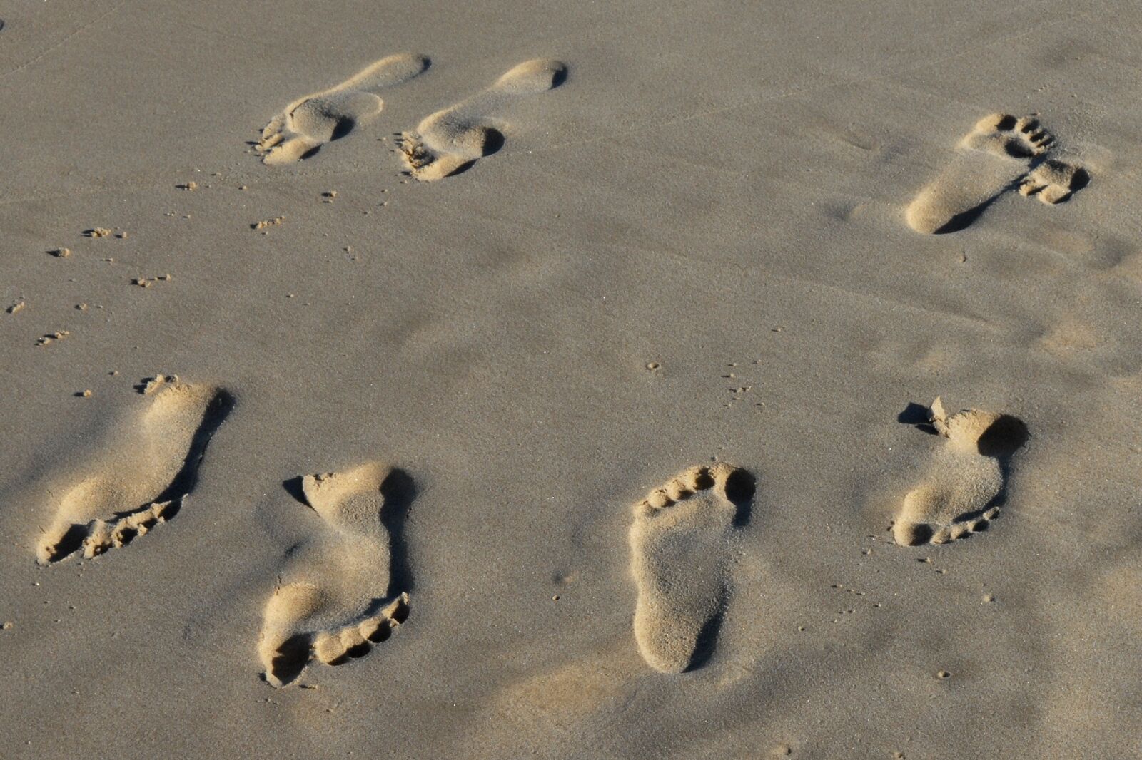 Nikon D200 sample photo. Footprint, tracks in the photography