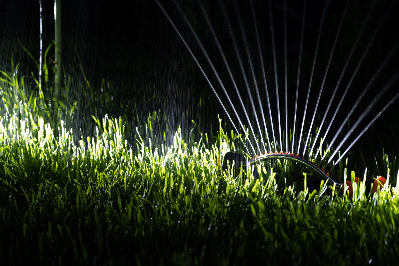 Fujifilm X-T3 sample photo. Water, watering, lawn photography