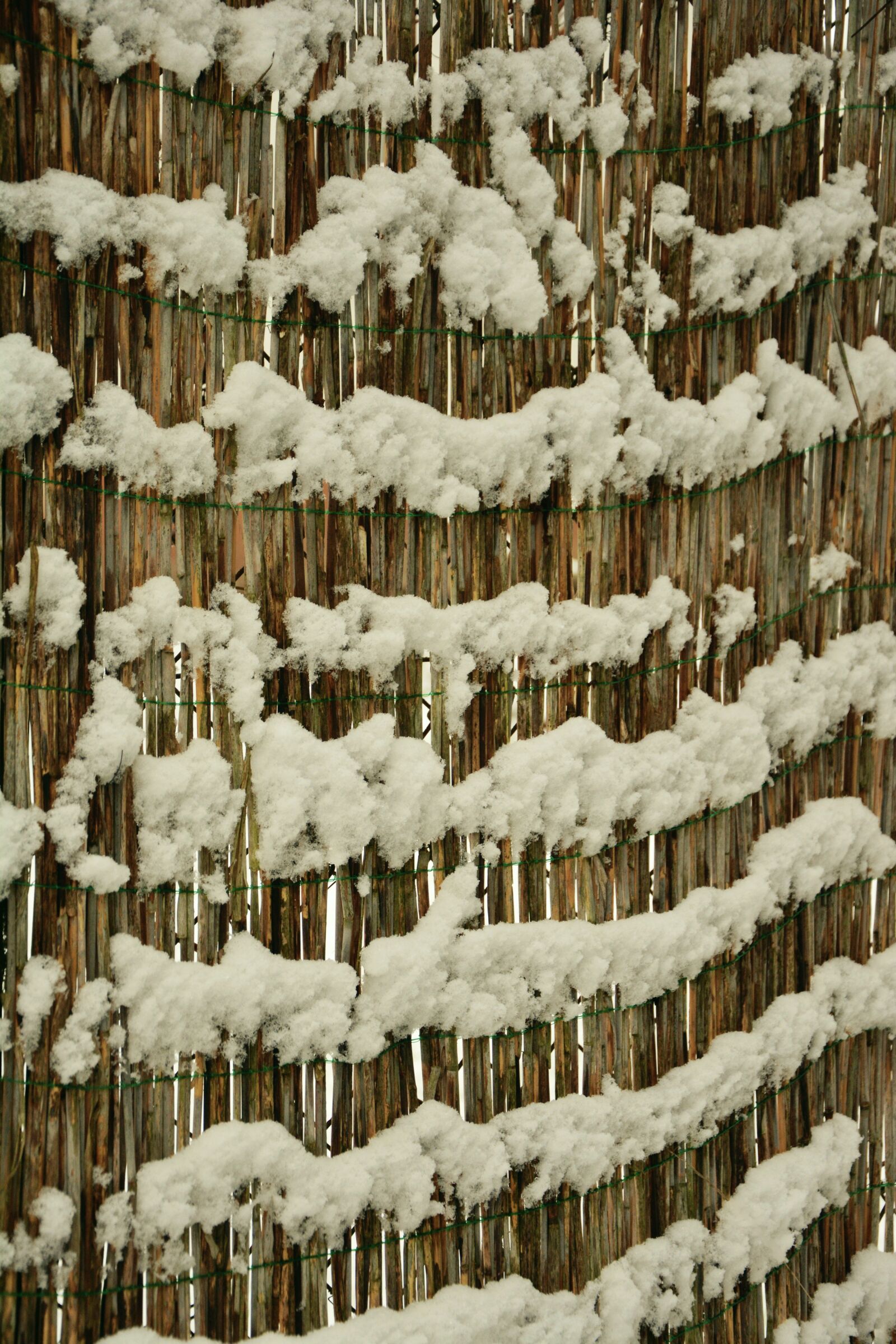 Nikon D5200 sample photo. Snow, snowy, structure photography