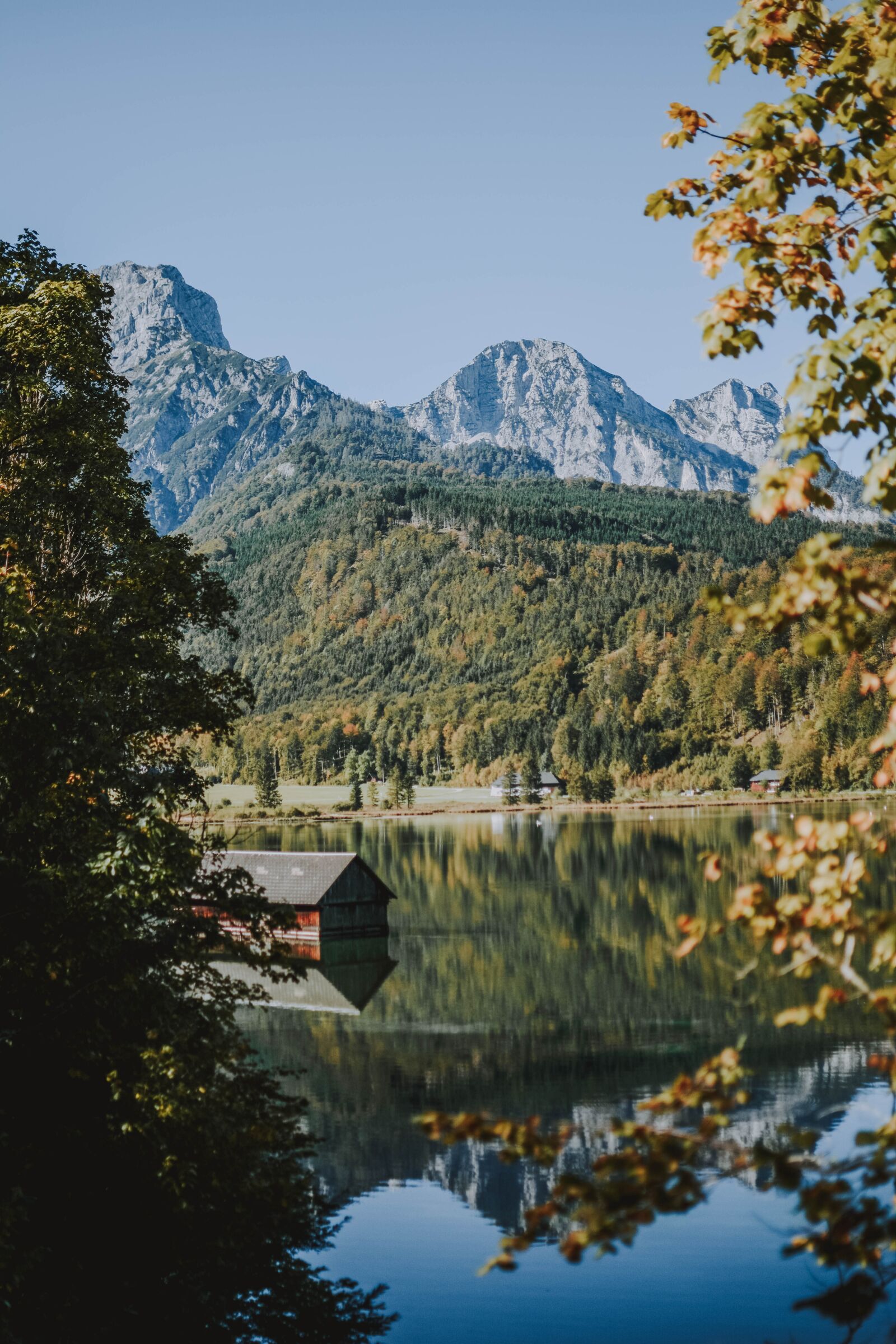 Nikon D5200 sample photo. Nature, landscape, forest photography