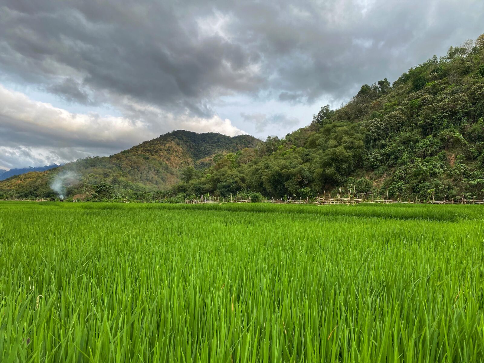 Apple iPhone 11 Pro Max sample photo. Landscape, nice photo, photographer photography