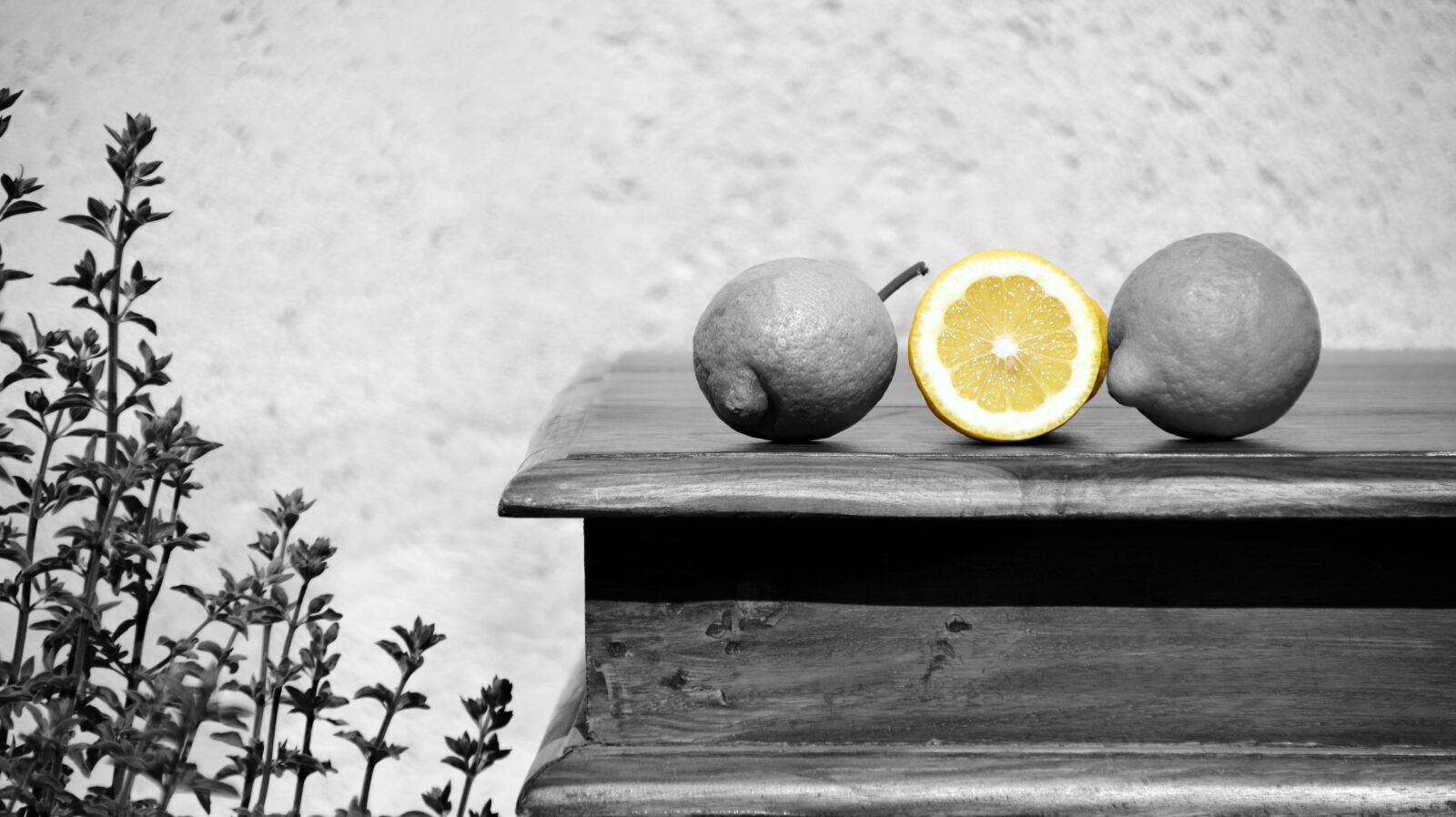 Nikon D3300 sample photo. Lemon, yellow, fruit photography