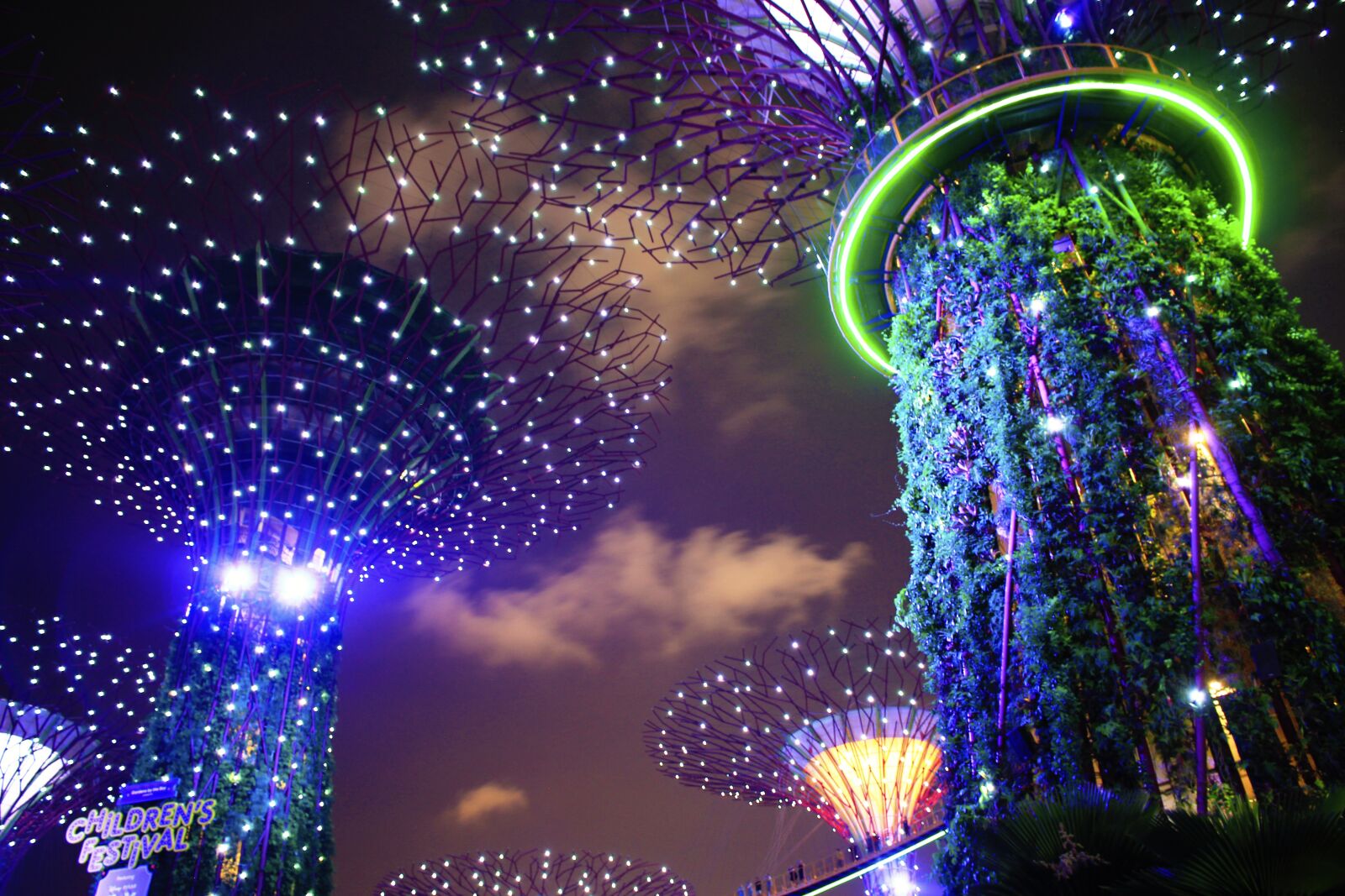Canon EOS 600D (Rebel EOS T3i / EOS Kiss X5) + Canon EF 50mm F1.8 STM sample photo. Garden by the bay photography