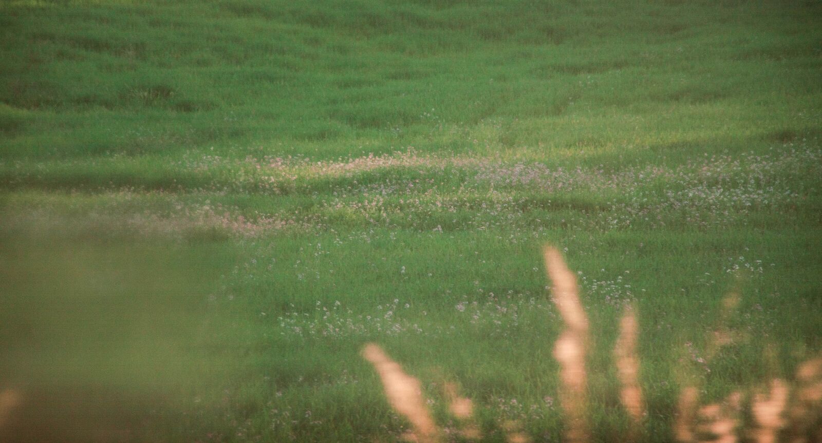 Nikon D7200 sample photo. Countryside, outdoor, landscape photography