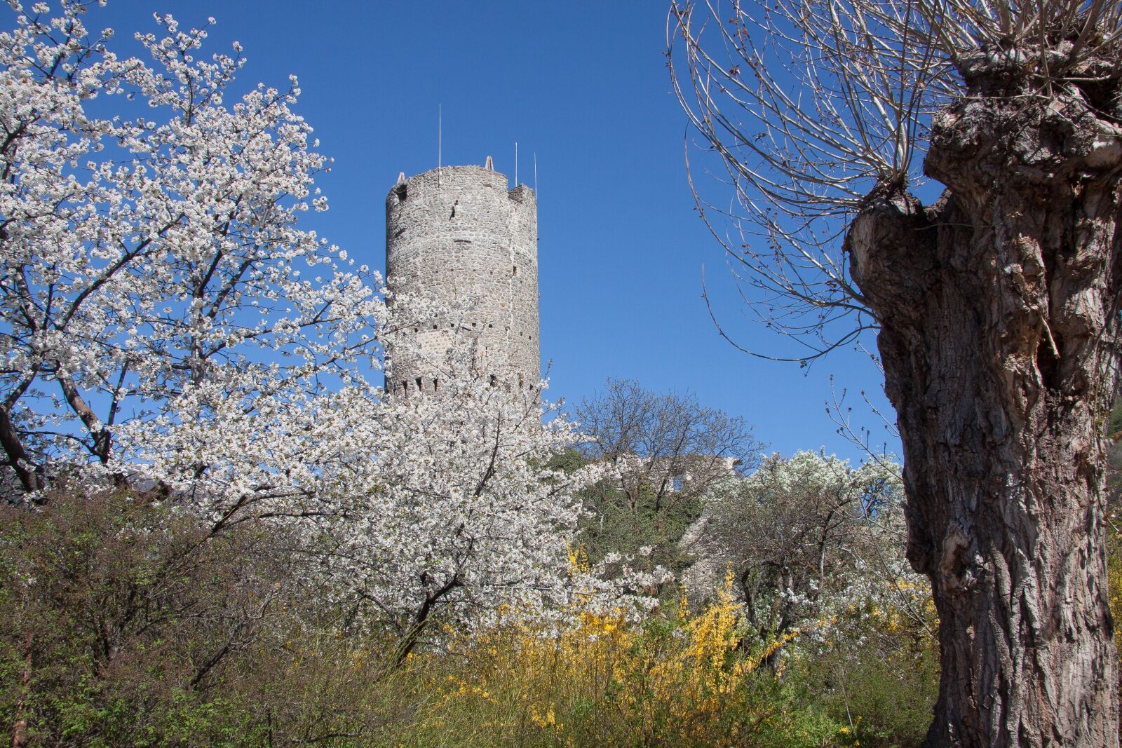 Canon EF-S 17-85mm F4-5.6 IS USM sample photo. Defensive tower, middle ages photography