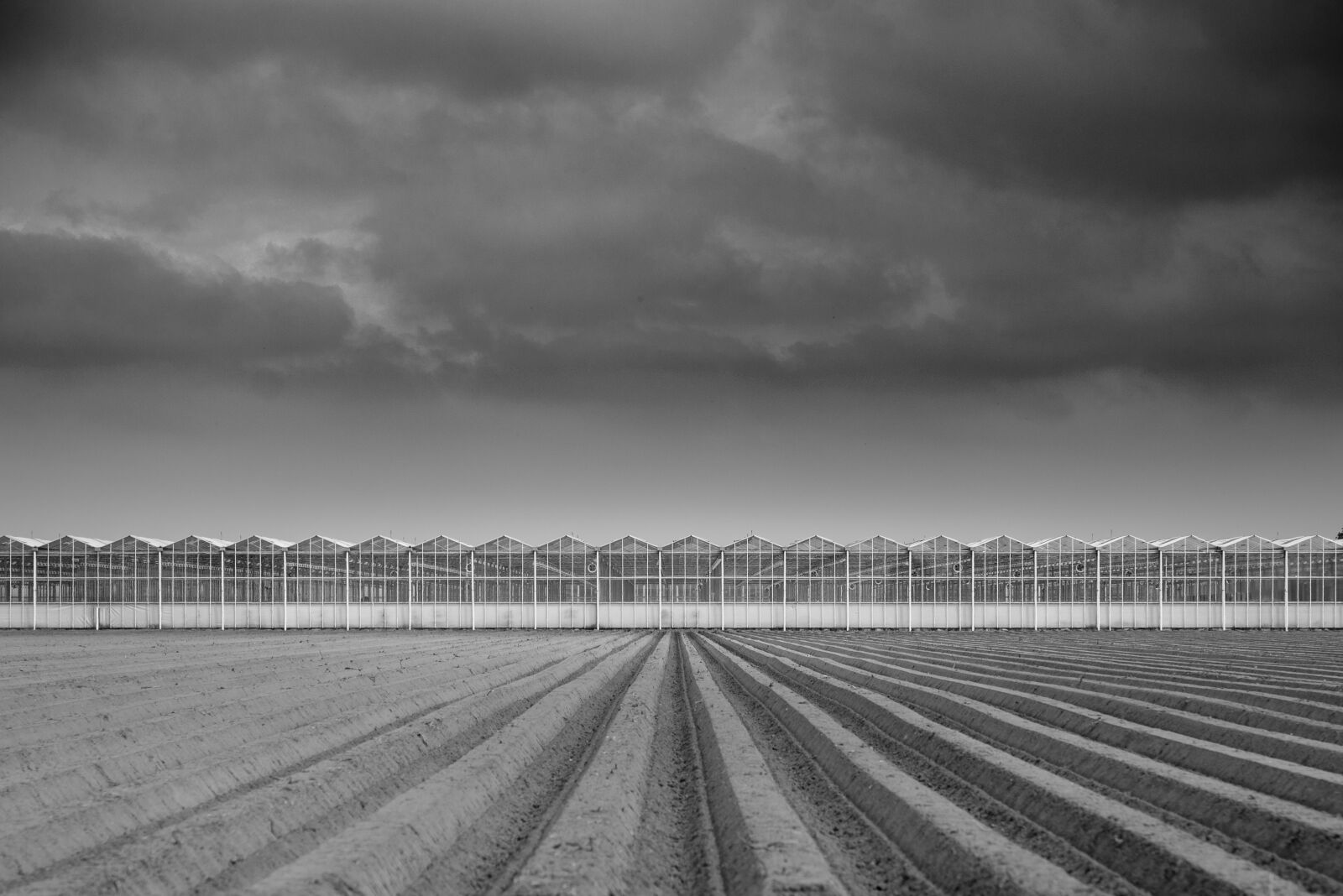 Nikon D600 sample photo. Plowed, field, greenhouse photography