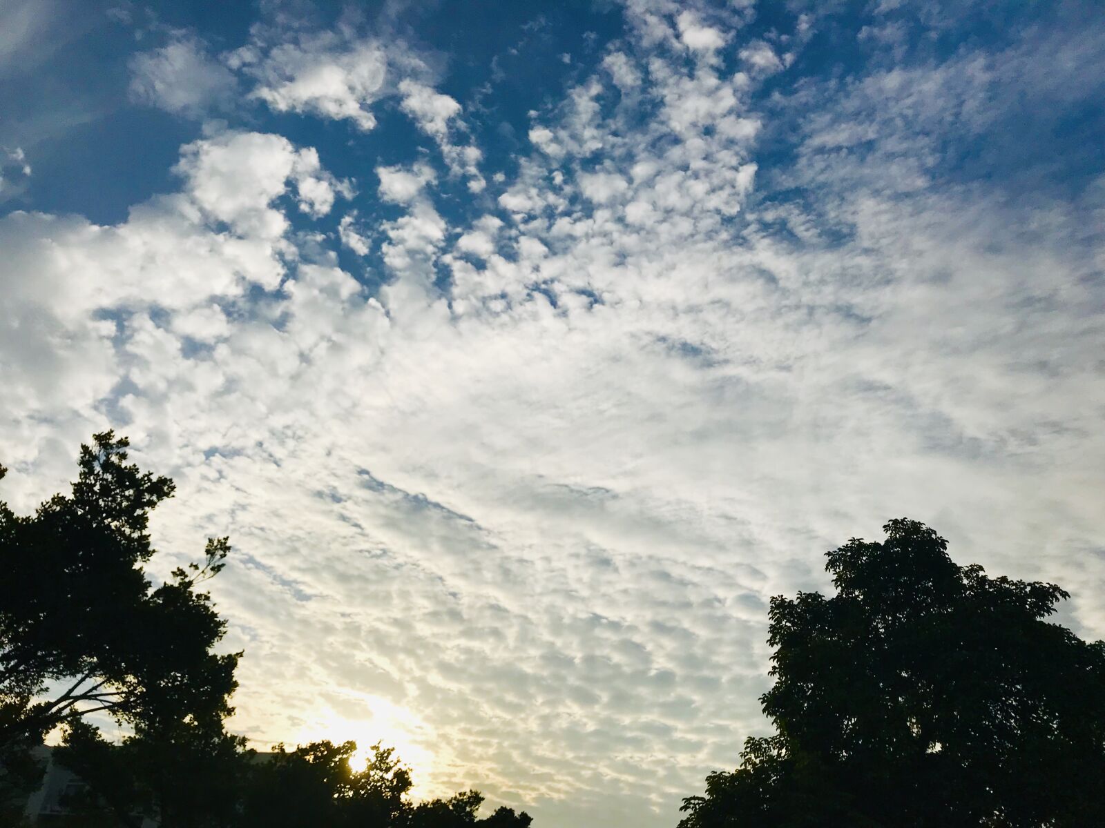 iPhone 7 back camera 3.99mm f/1.8 sample photo. Sunset, cloud photography