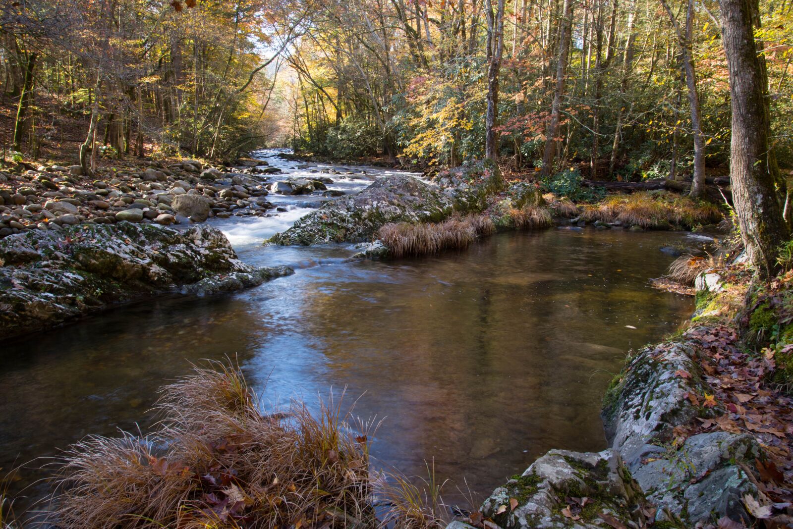Nikon D600 sample photo. Creek, smoky mountain national photography