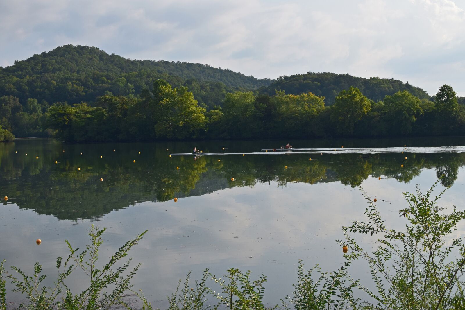 Nikon D3300 sample photo. Scull rowers, scull rowing photography