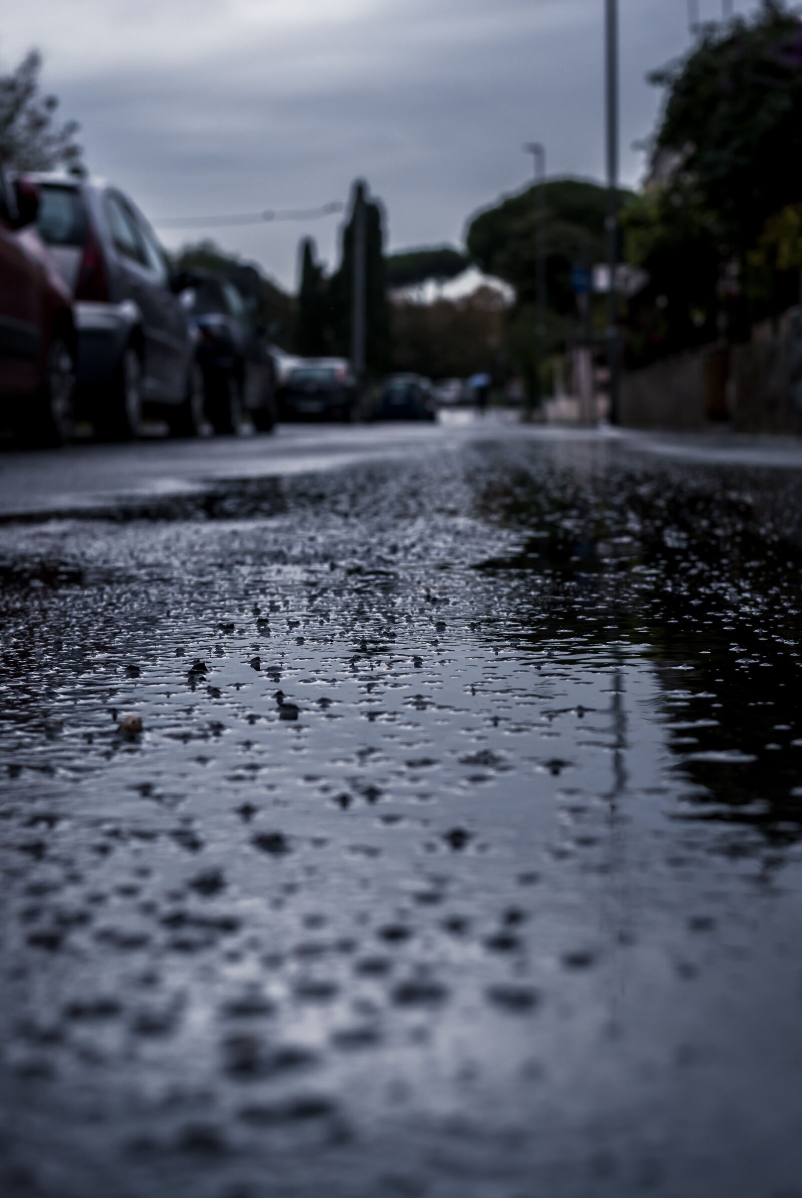 Nikon D80 sample photo. Street, rain, city photography