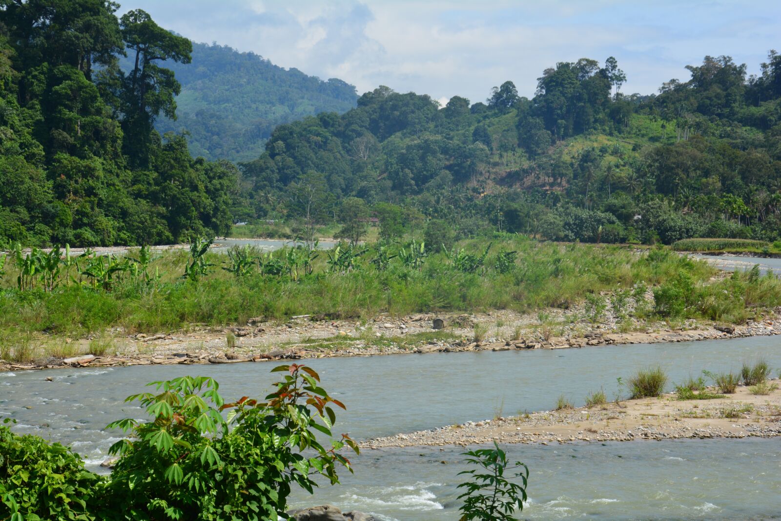 Nikon D5200 sample photo. Indonesia, sumatra, tropical photography