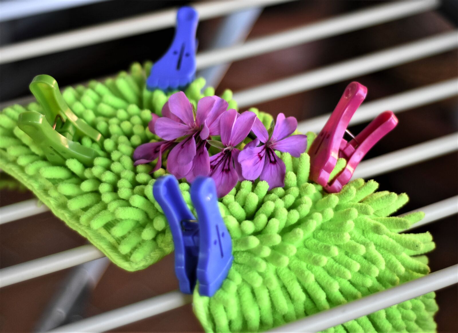 Nikon D7200 sample photo. Mop, sponge, clothespins photography